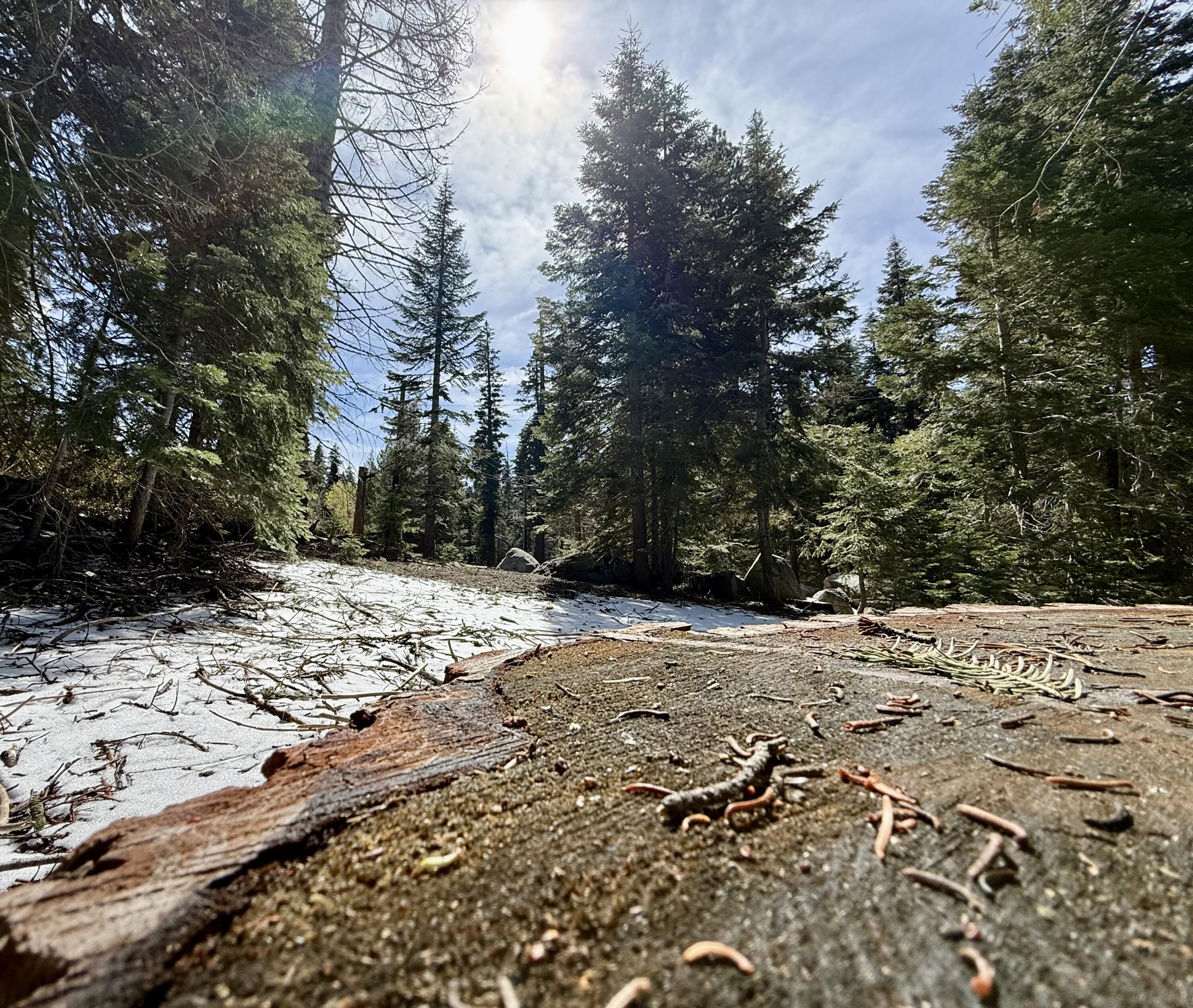 57594 Silver Tip Dr, Springville, CA 93265