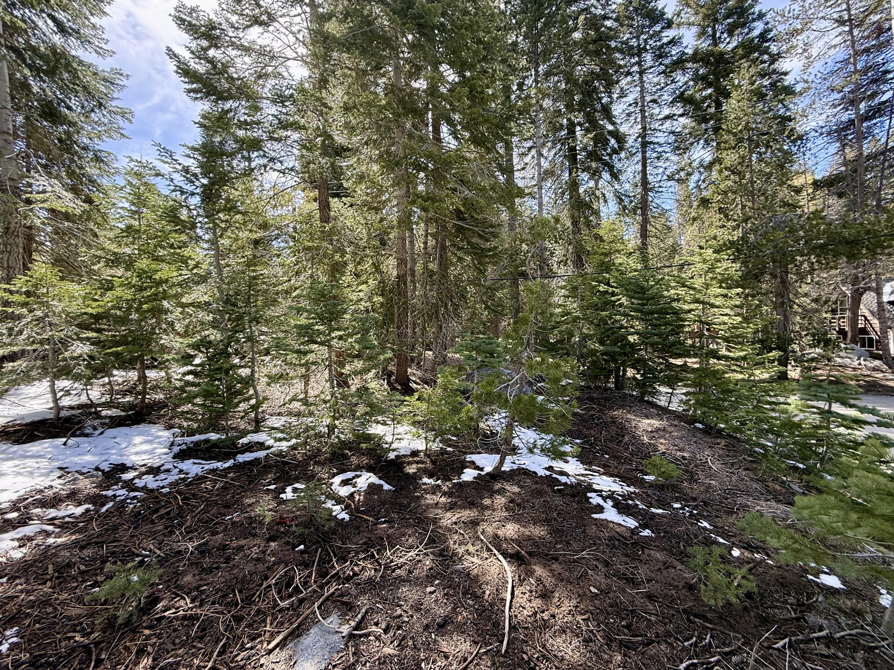 57594 Silver Tip Dr, Springville, CA 93265