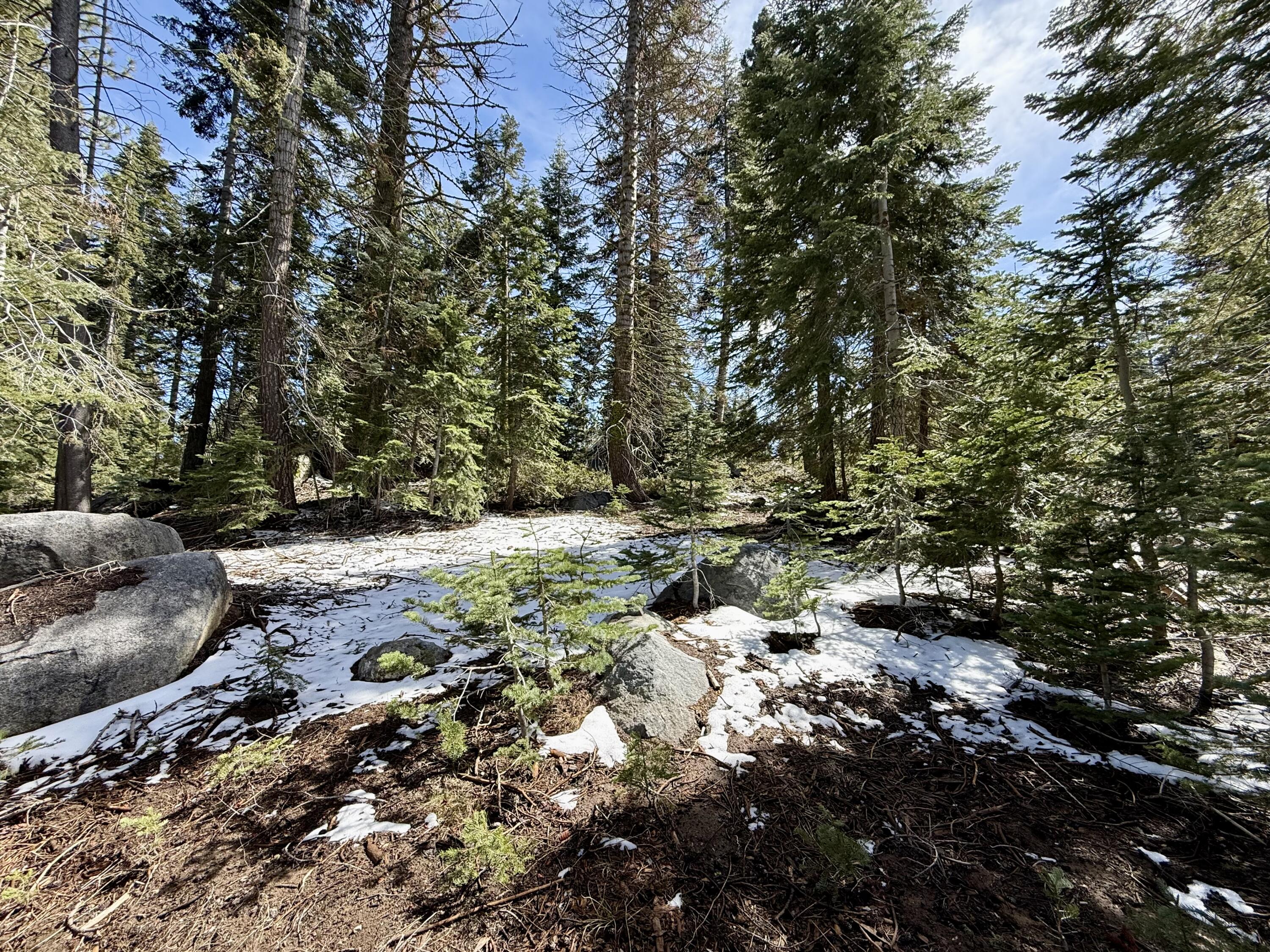 57594 Silver Tip Dr, Springville, CA 93265