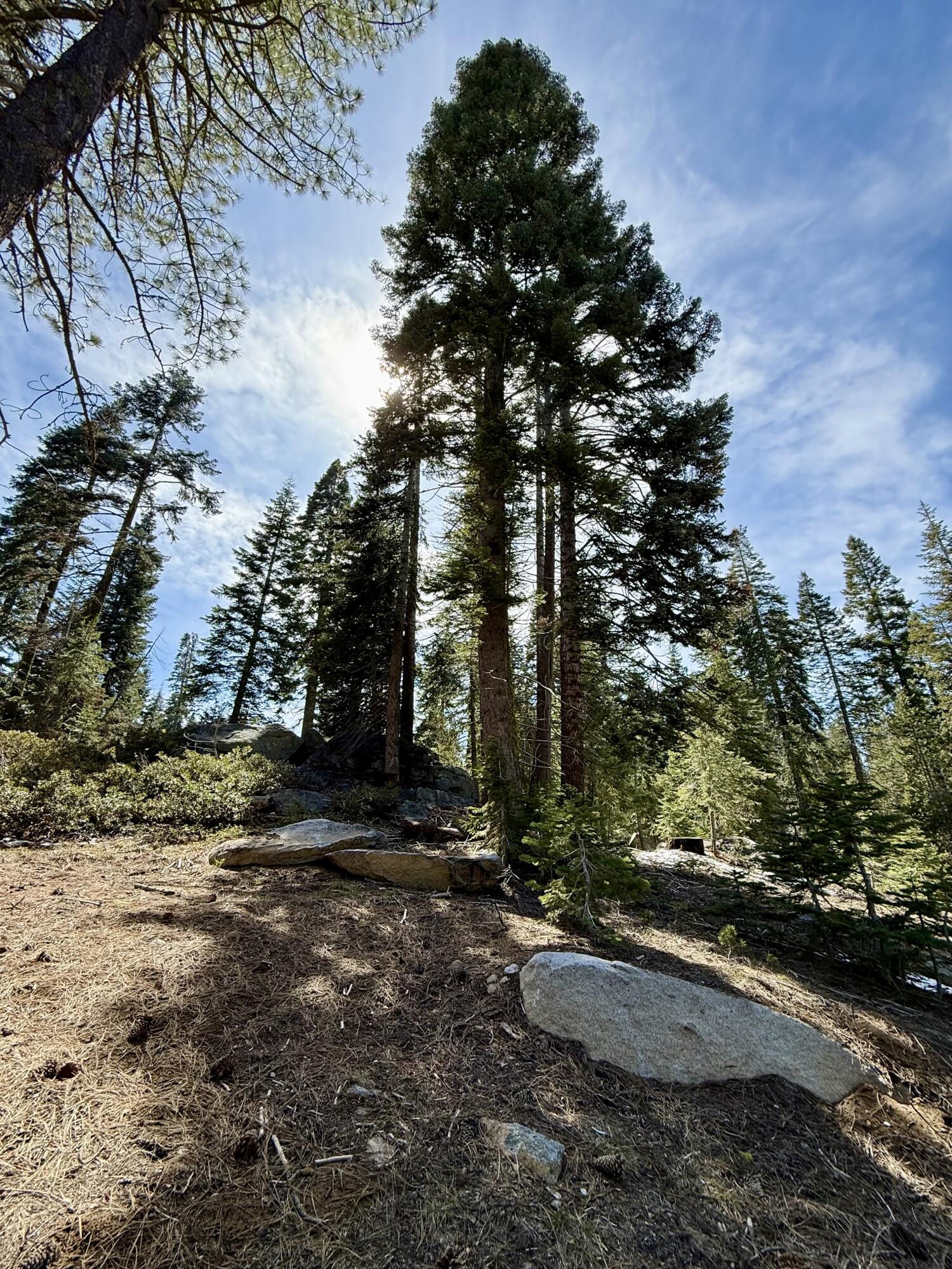 57594 Silver Tip Dr, Springville, CA 93265