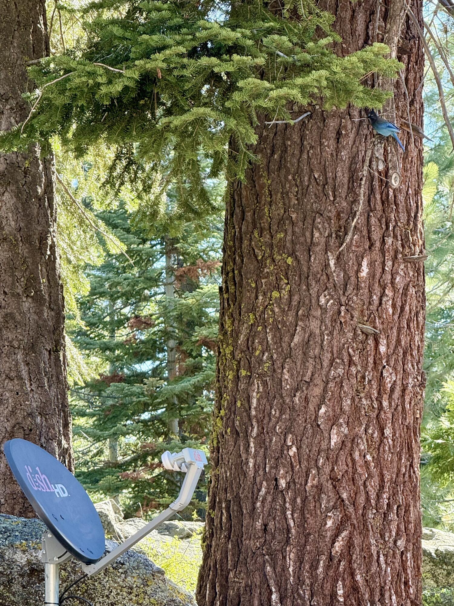 57464 Crest Dr, Springville, CA 93265