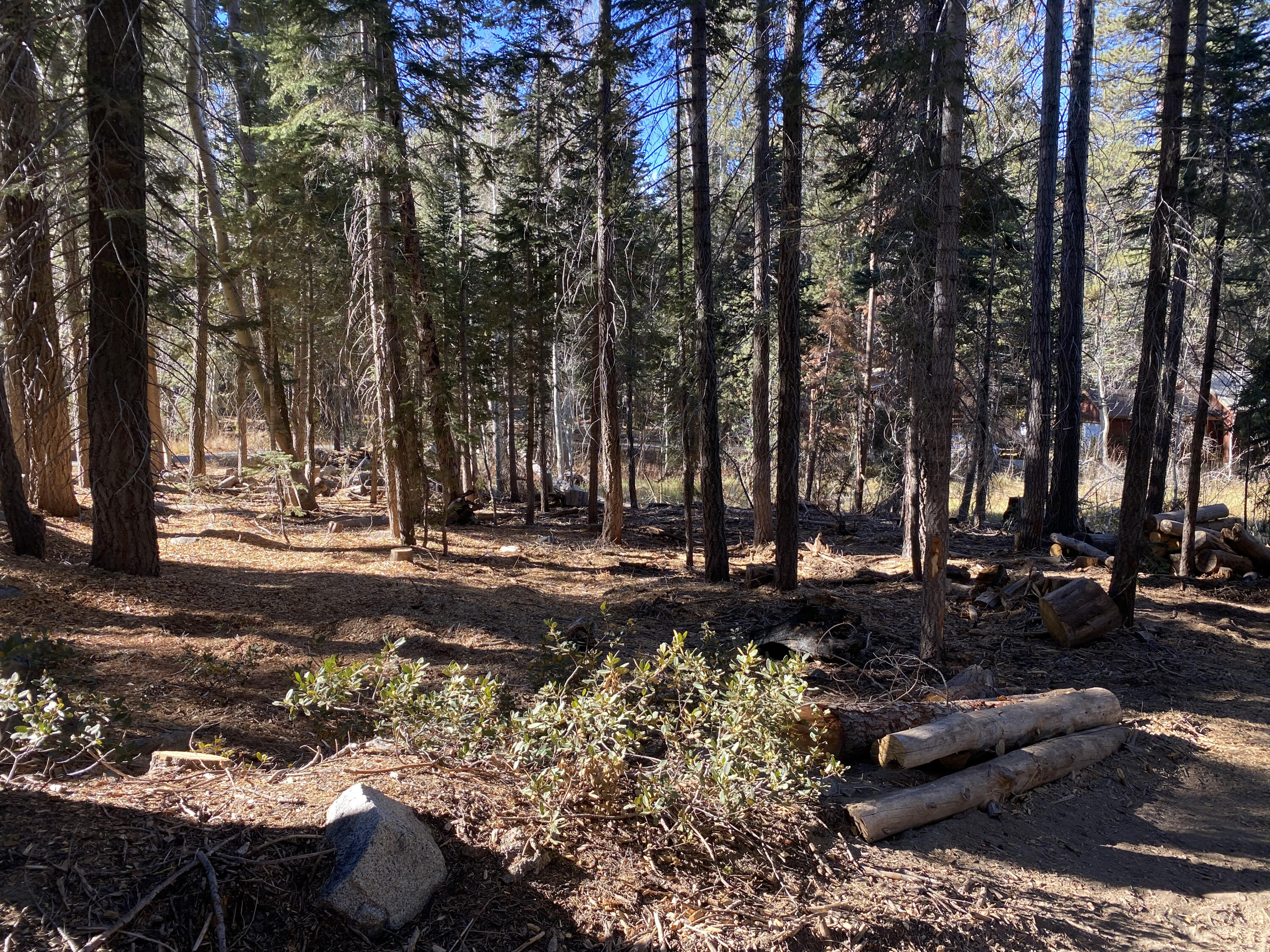 0 Fox Dr, Ponderosa, CA 93265