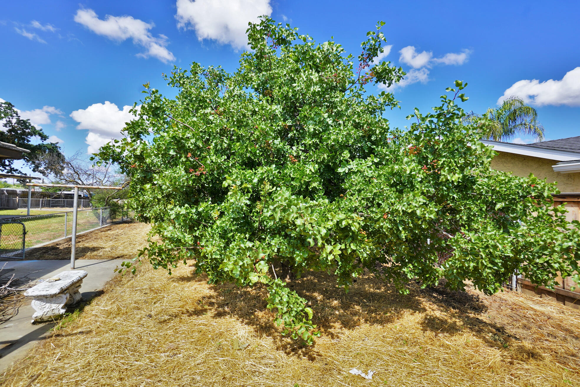 842 E Florinda St, Hanford, CA 93230