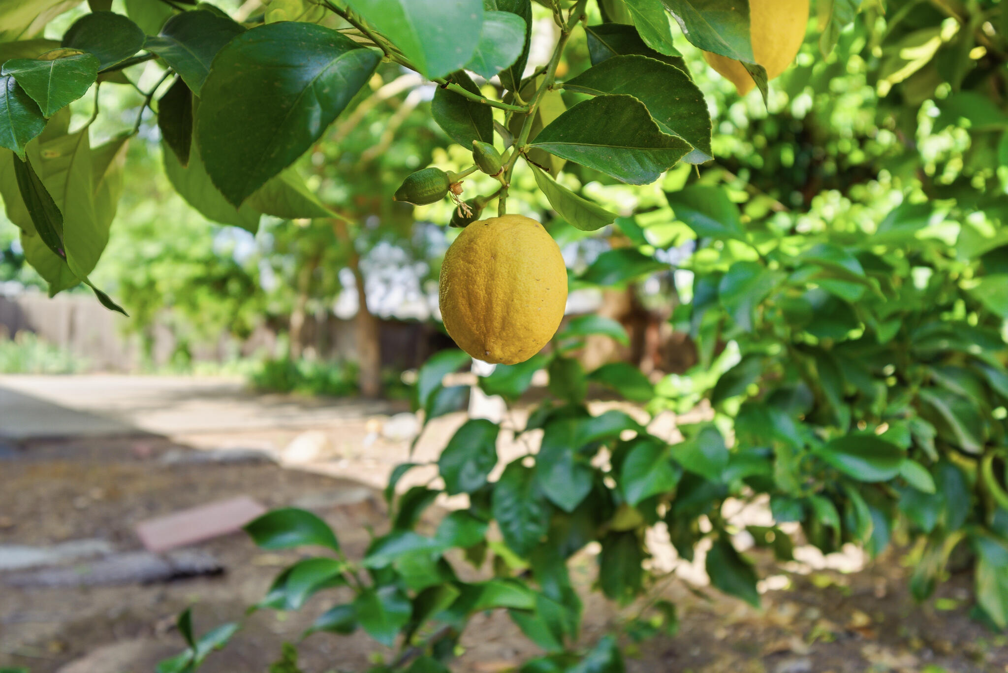 628 N G St, Porterville, CA 93257