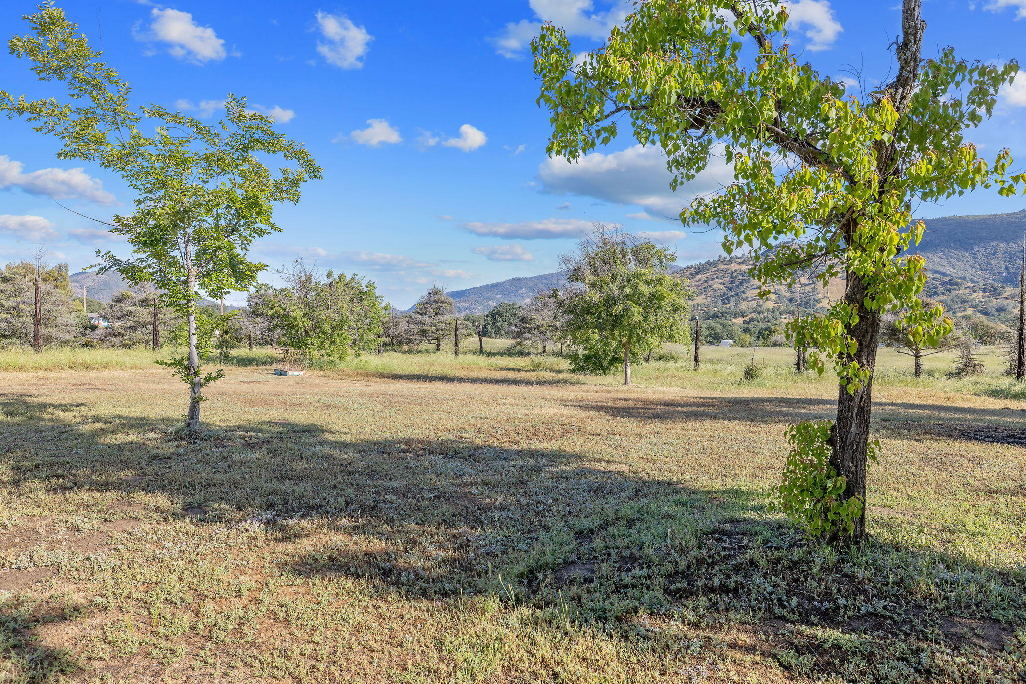 29478 Fallen Oak Rd, Tollhouse, CA 93667