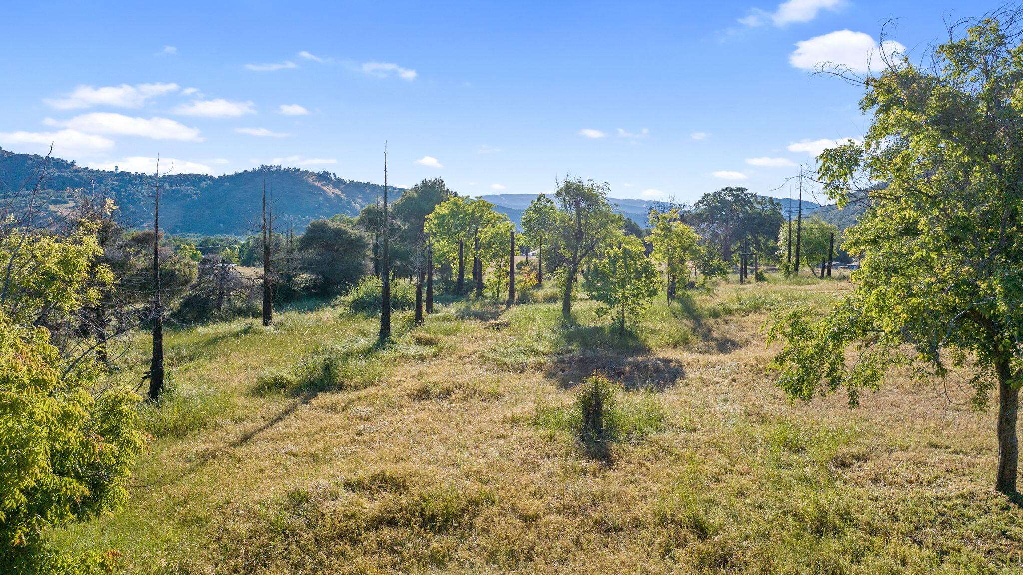 29478 Fallen Oak Rd, Tollhouse, CA 93667