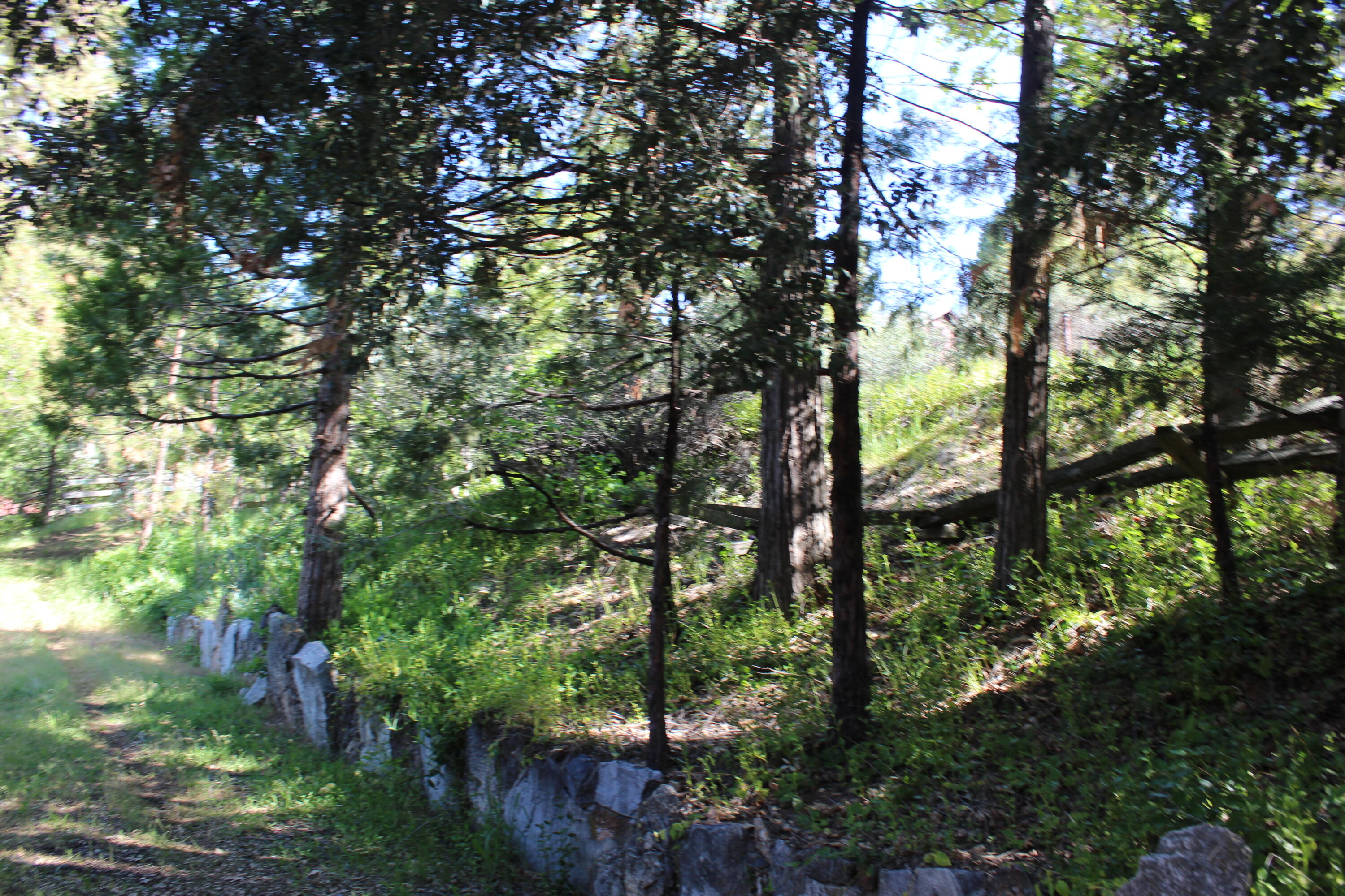 315 Grandview Dr, Springville, CA 93265