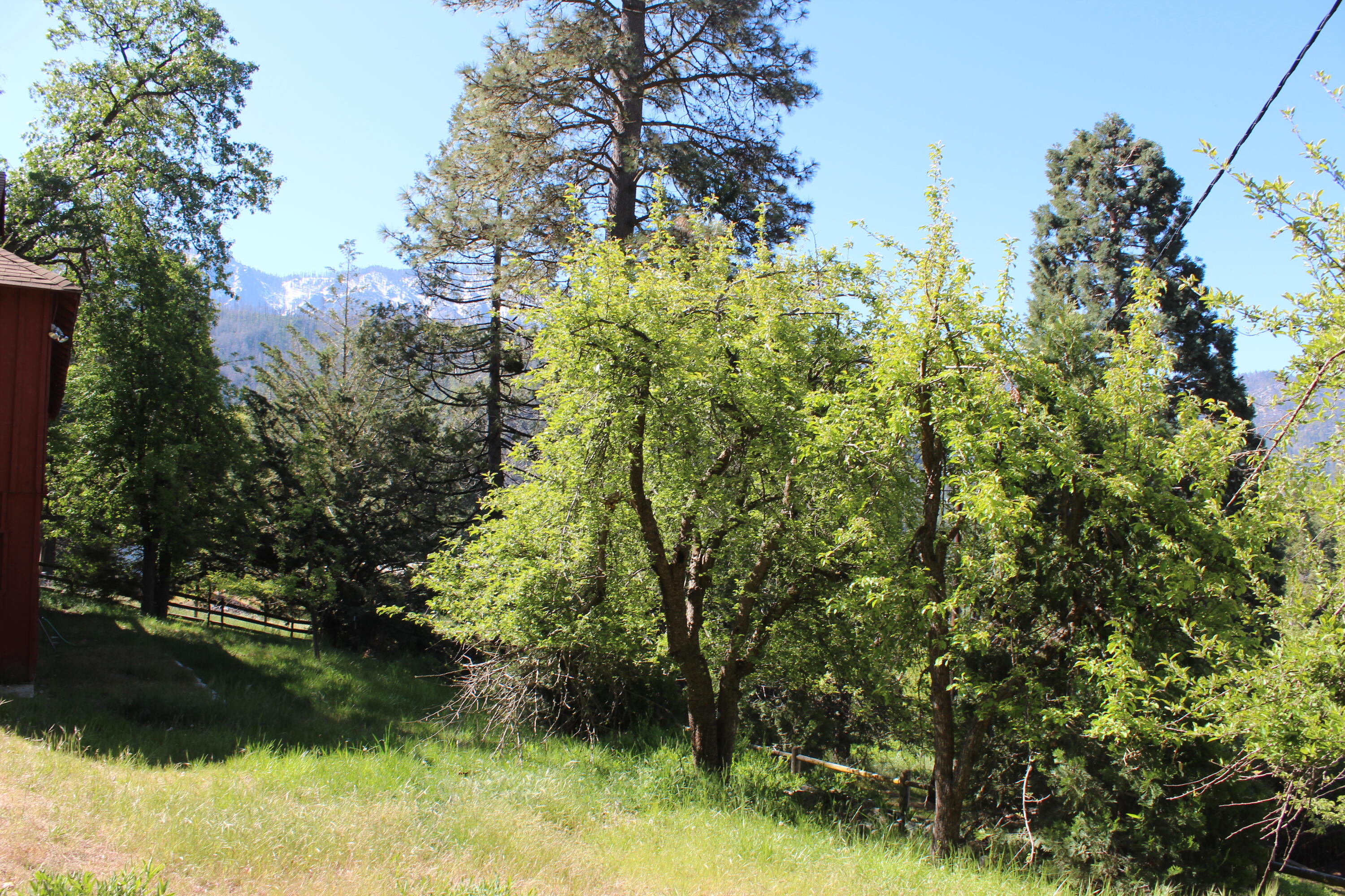 315 Grandview Dr, Springville, CA 93265