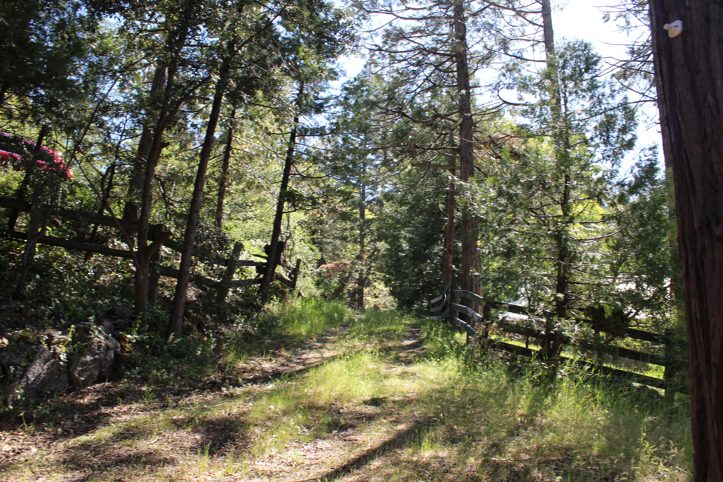 315 Grandview Dr, Springville, CA 93265