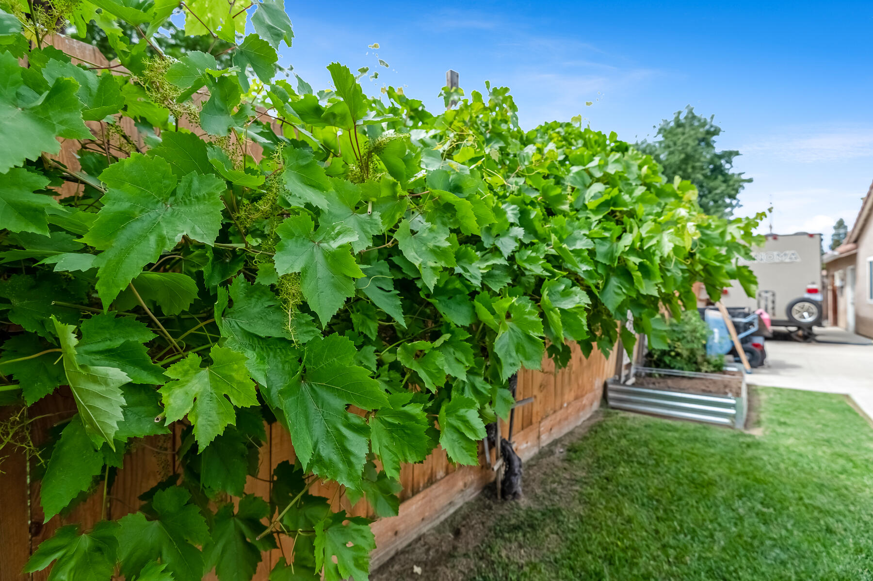 1811 E Country Ct, Visalia, CA 93292