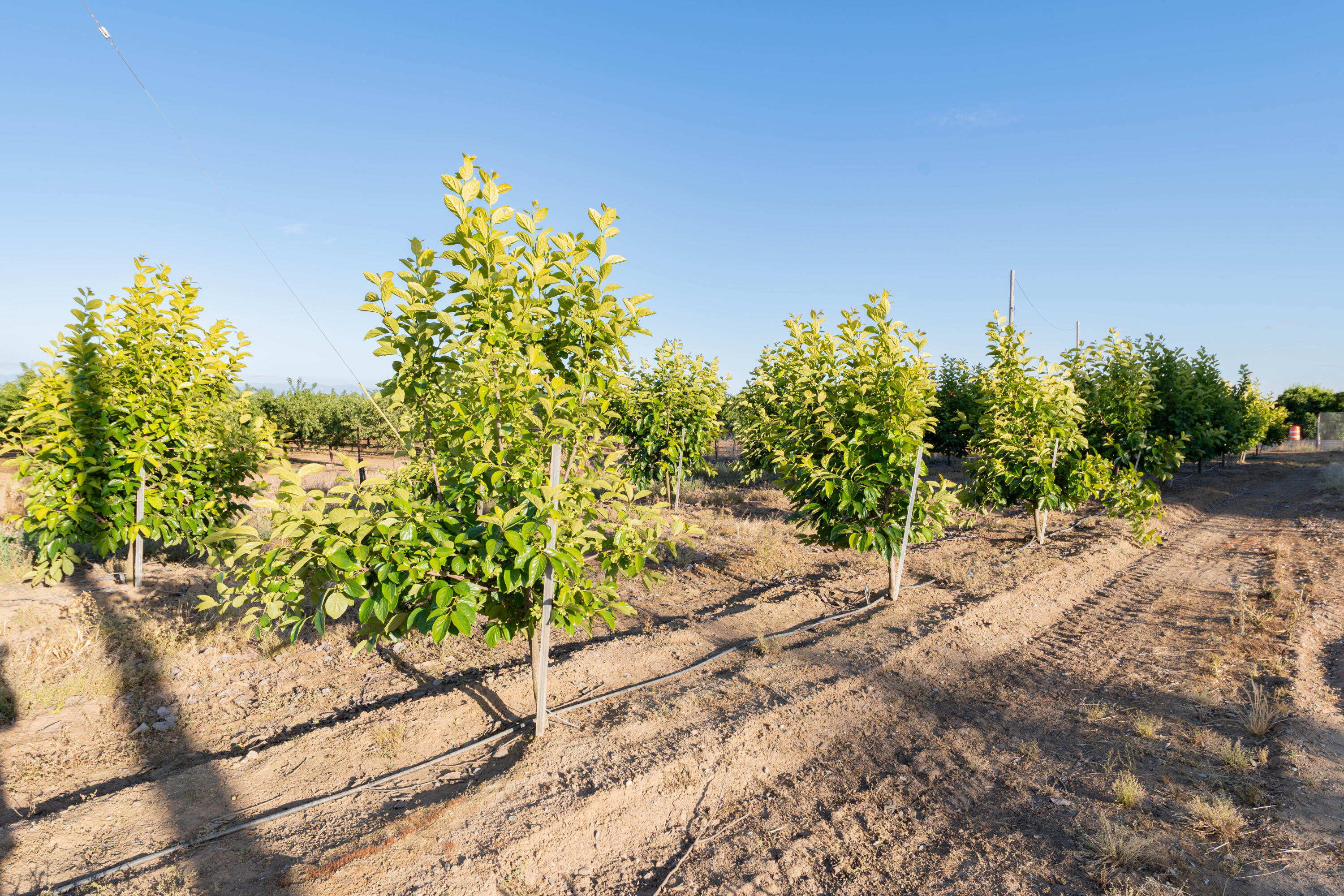 21978 Avenue 144, Porterville, CA 93257