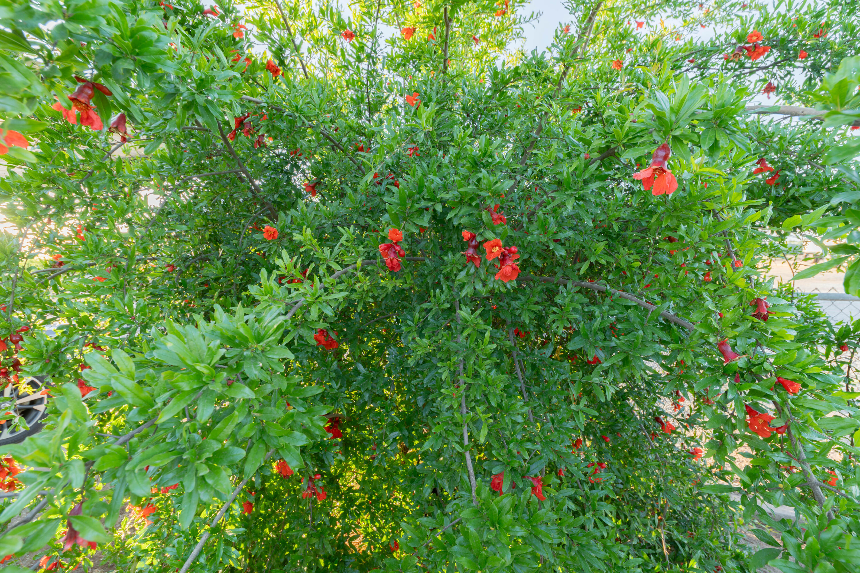 21978 Avenue 144, Porterville, CA 93257