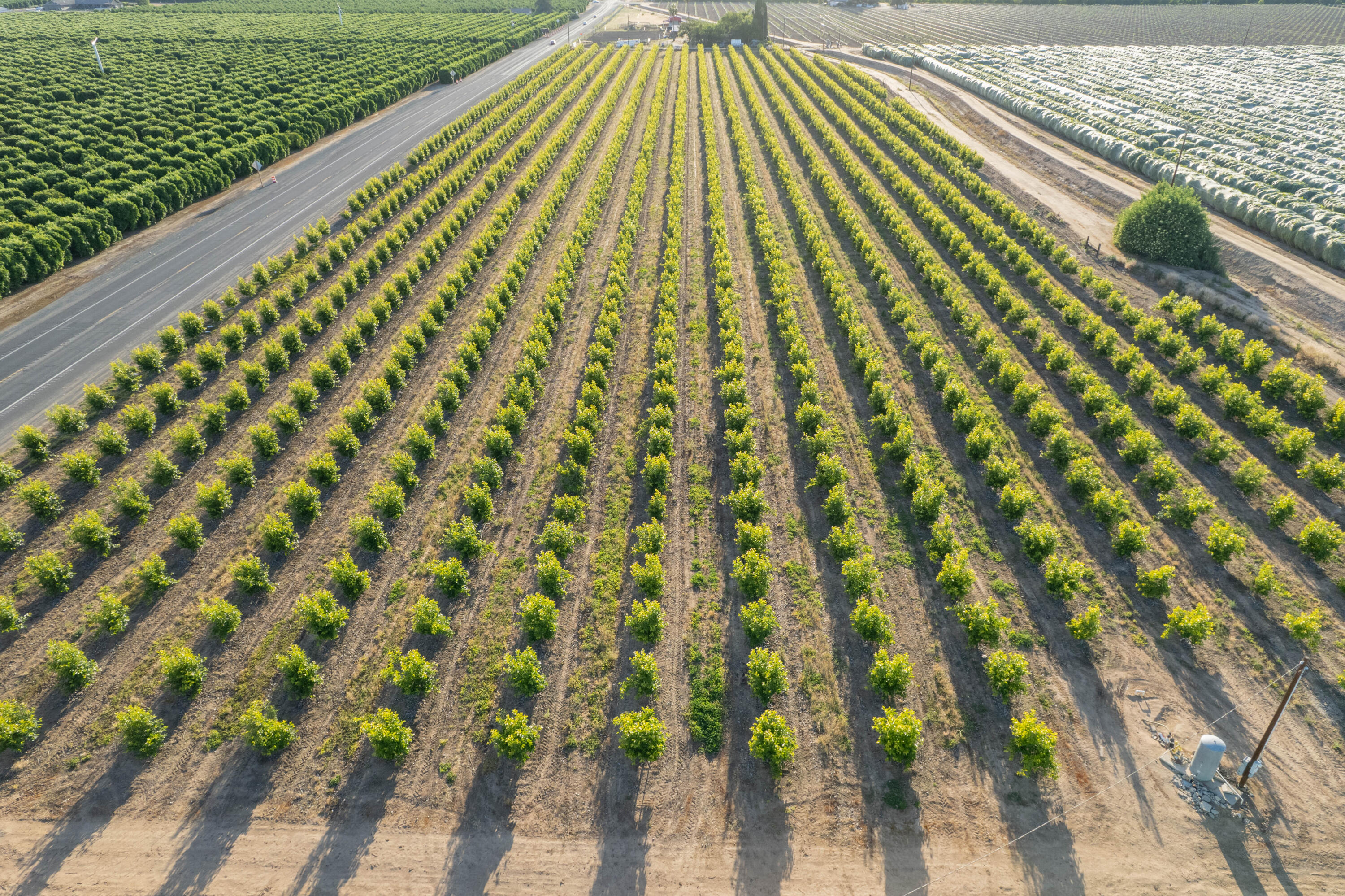 21978 Avenue 144, Porterville, CA 93257