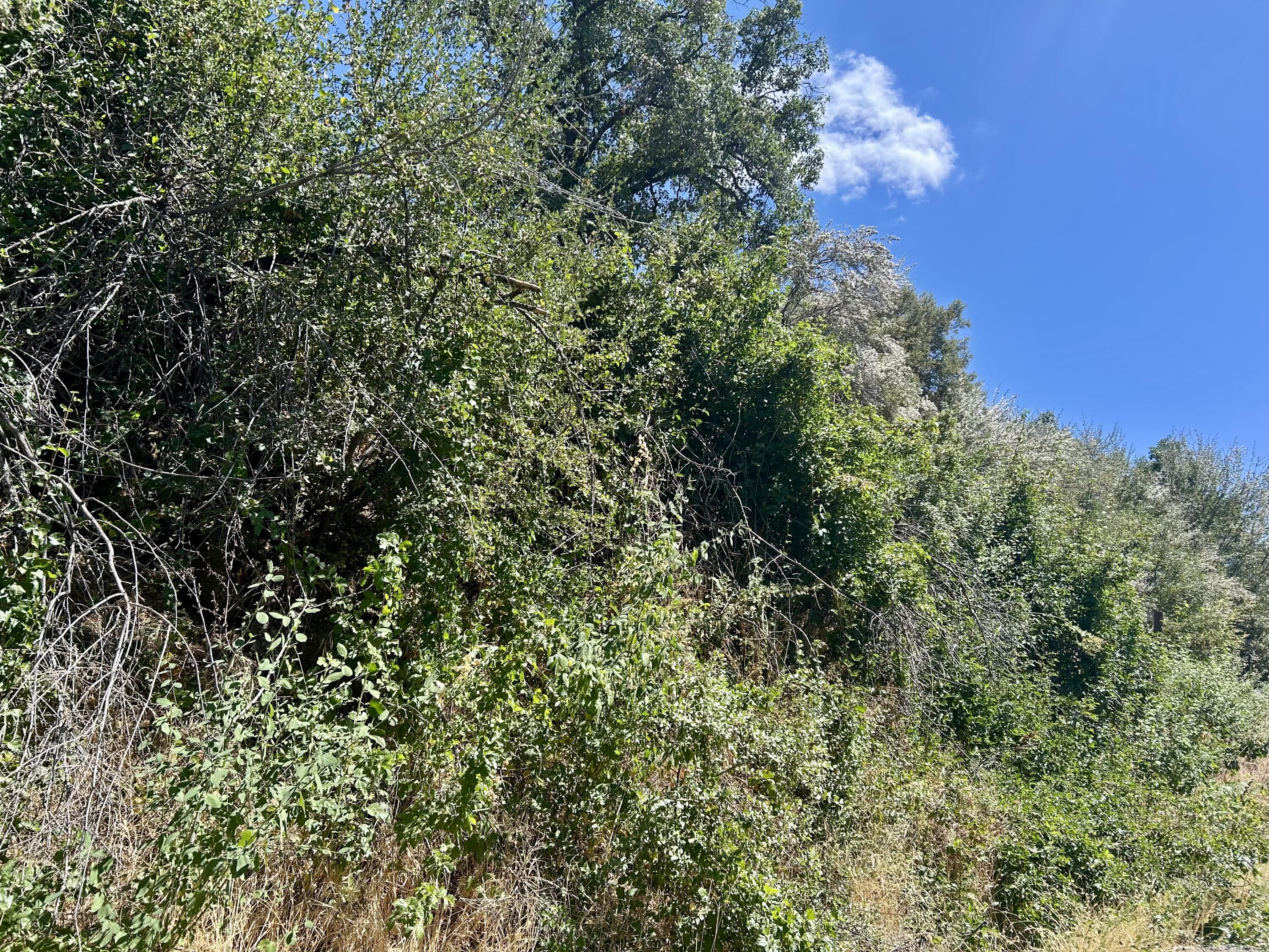 52 Flying T Dr, California Hot Springs, CA 93207