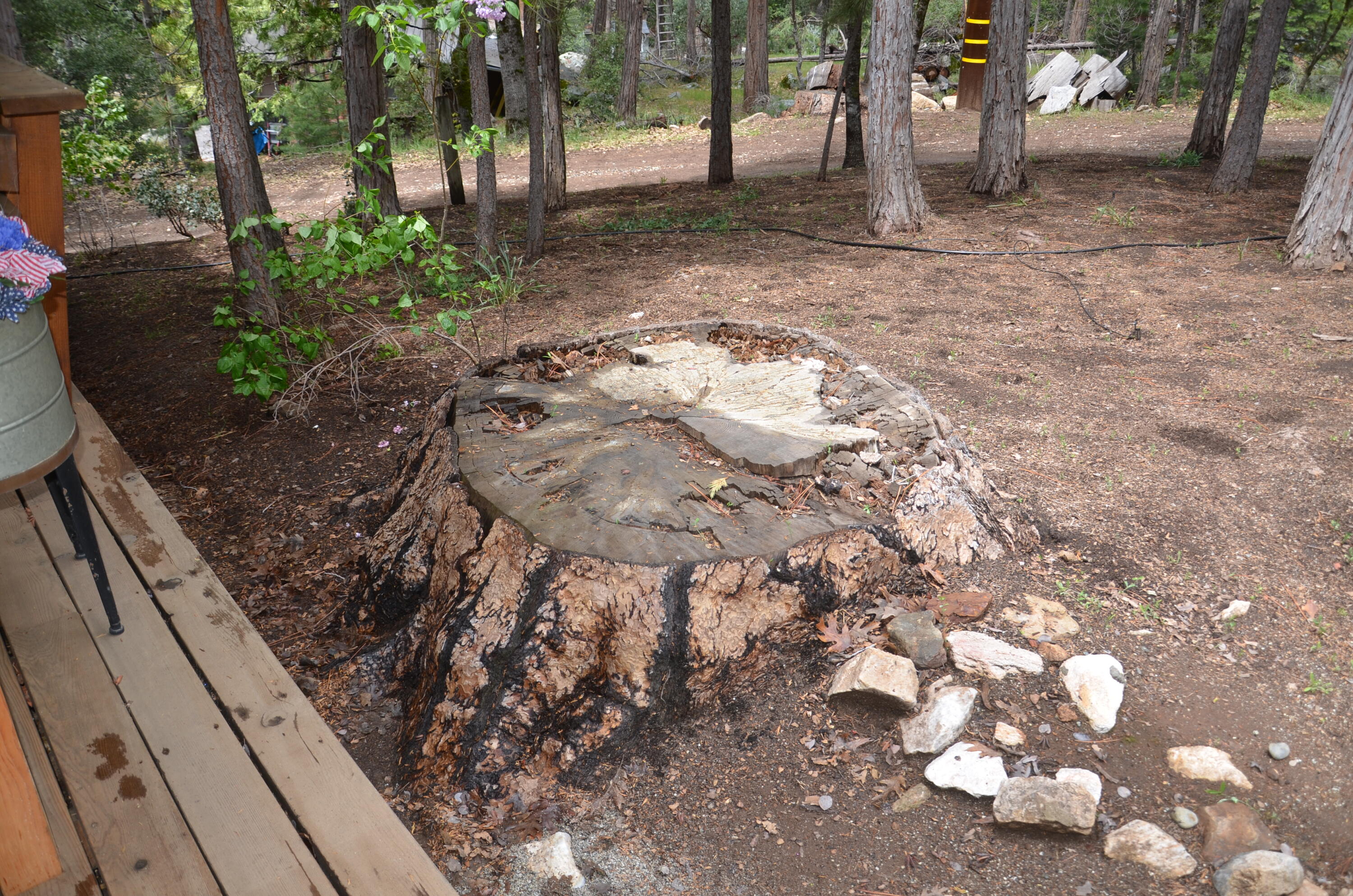 662 Trails End, Springville, CA 93265