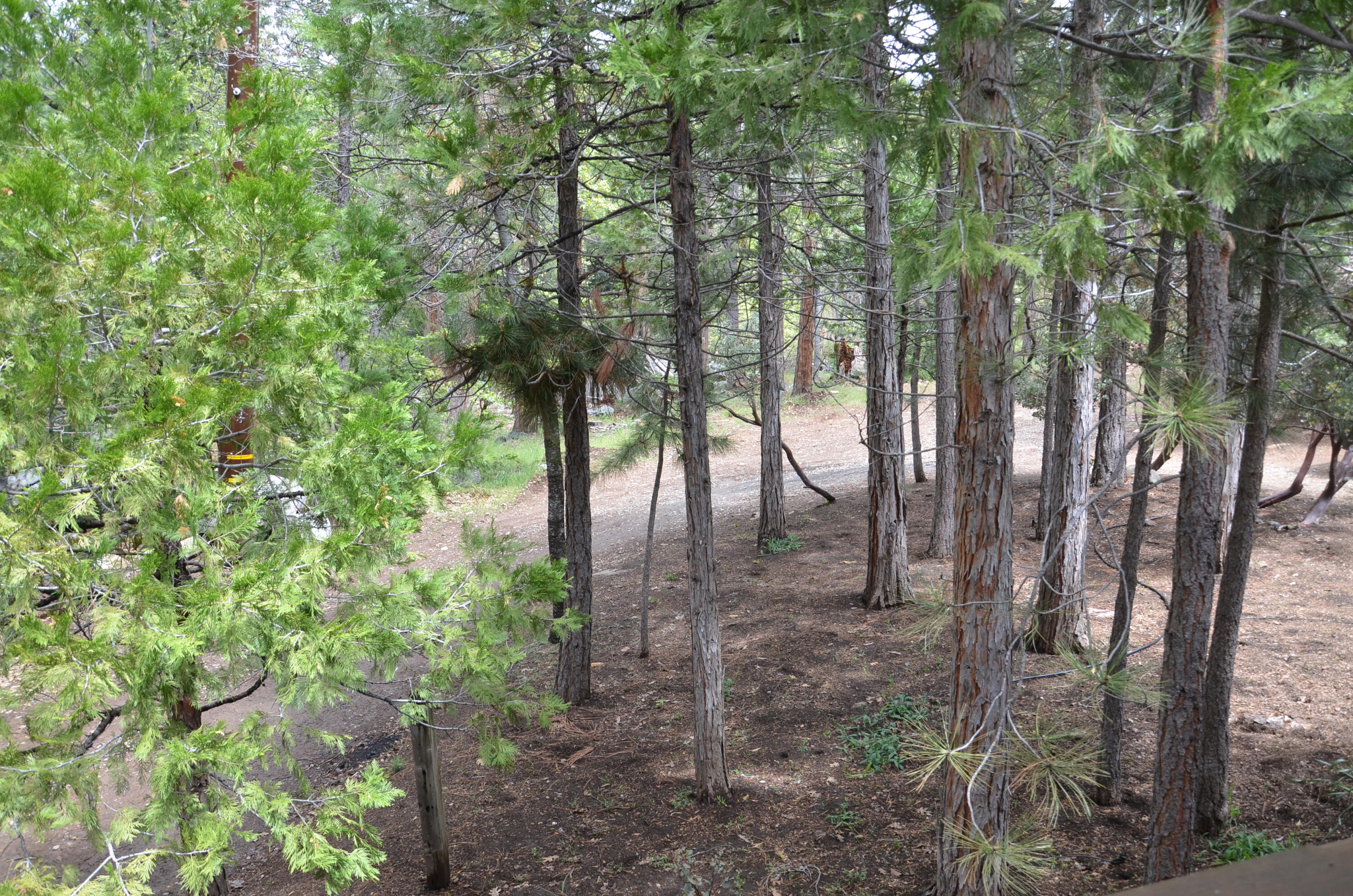 662 Trails End, Springville, CA 93265