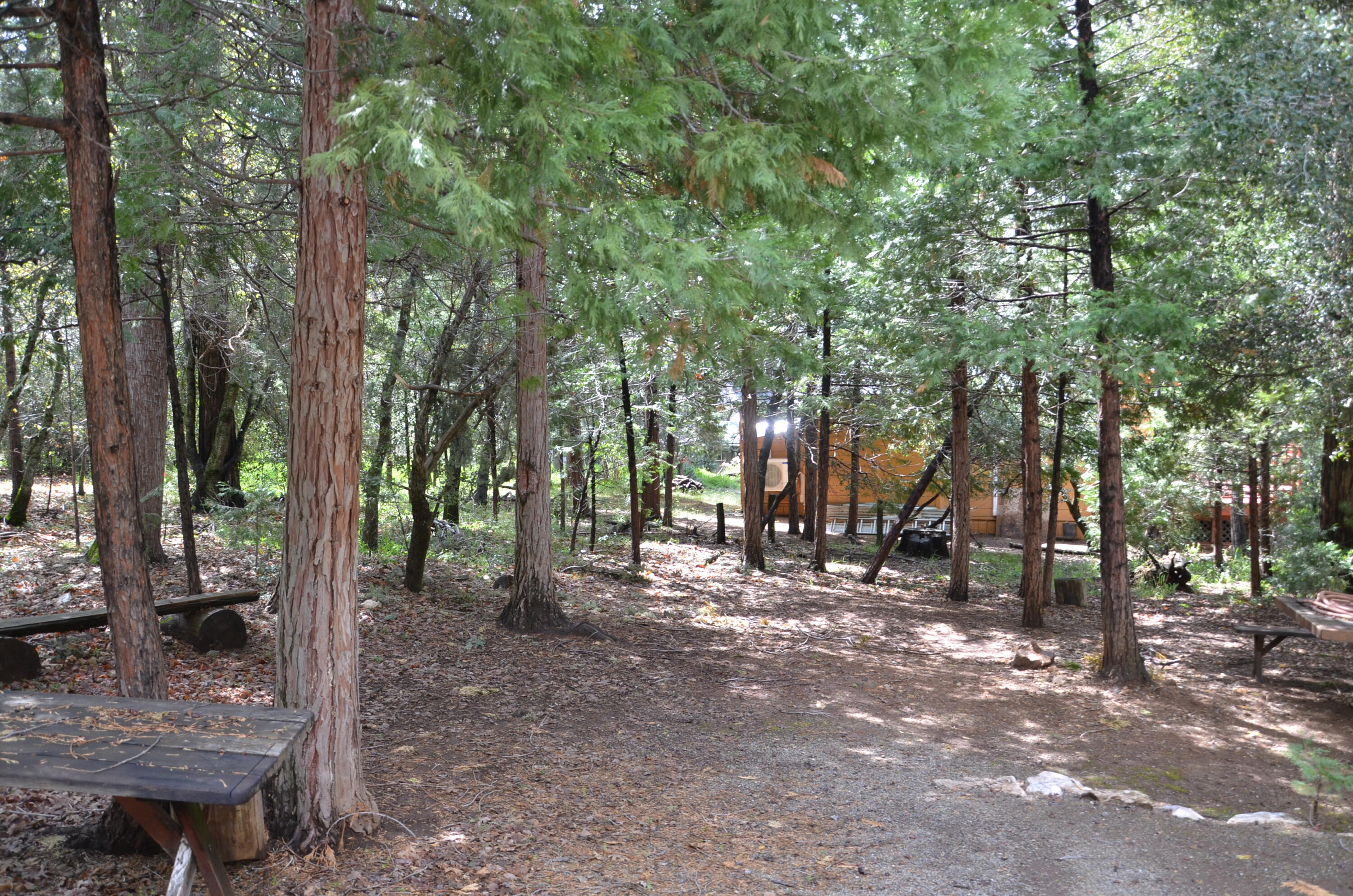 662 Trails End, Springville, CA 93265