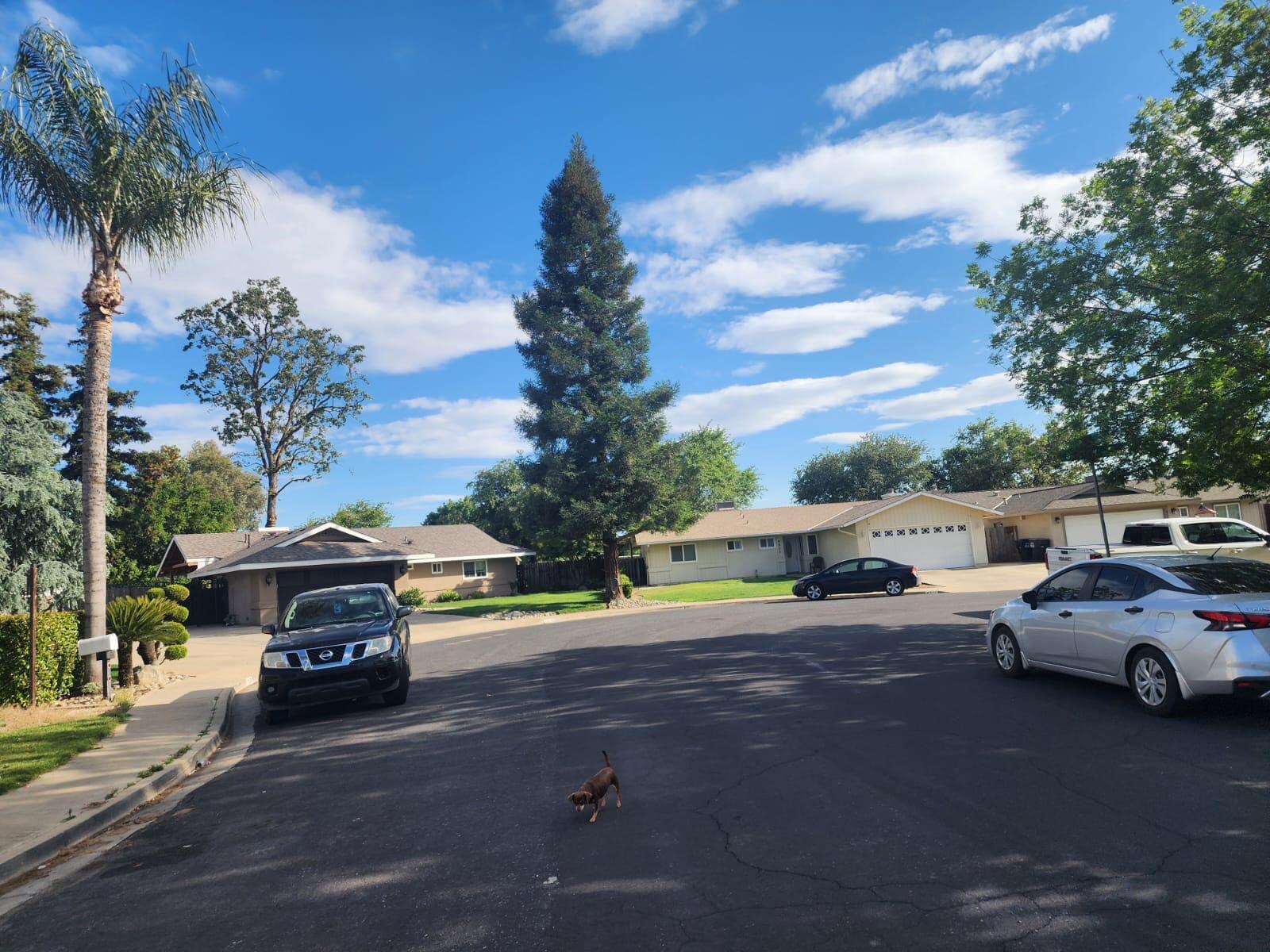 920 S Julieann St, Visalia, CA 93277