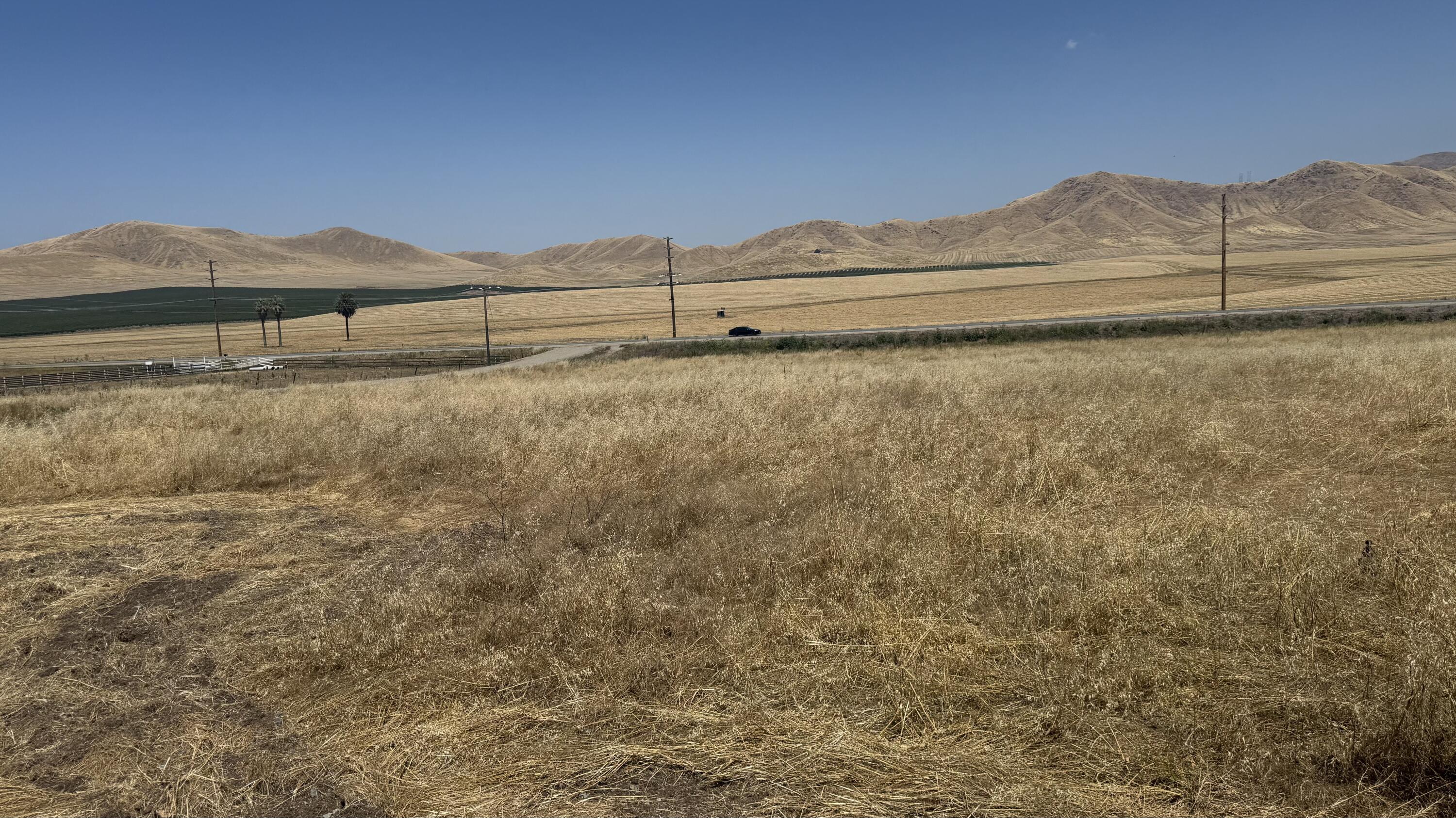 0 Ave 196, Strathmore, CA 93267