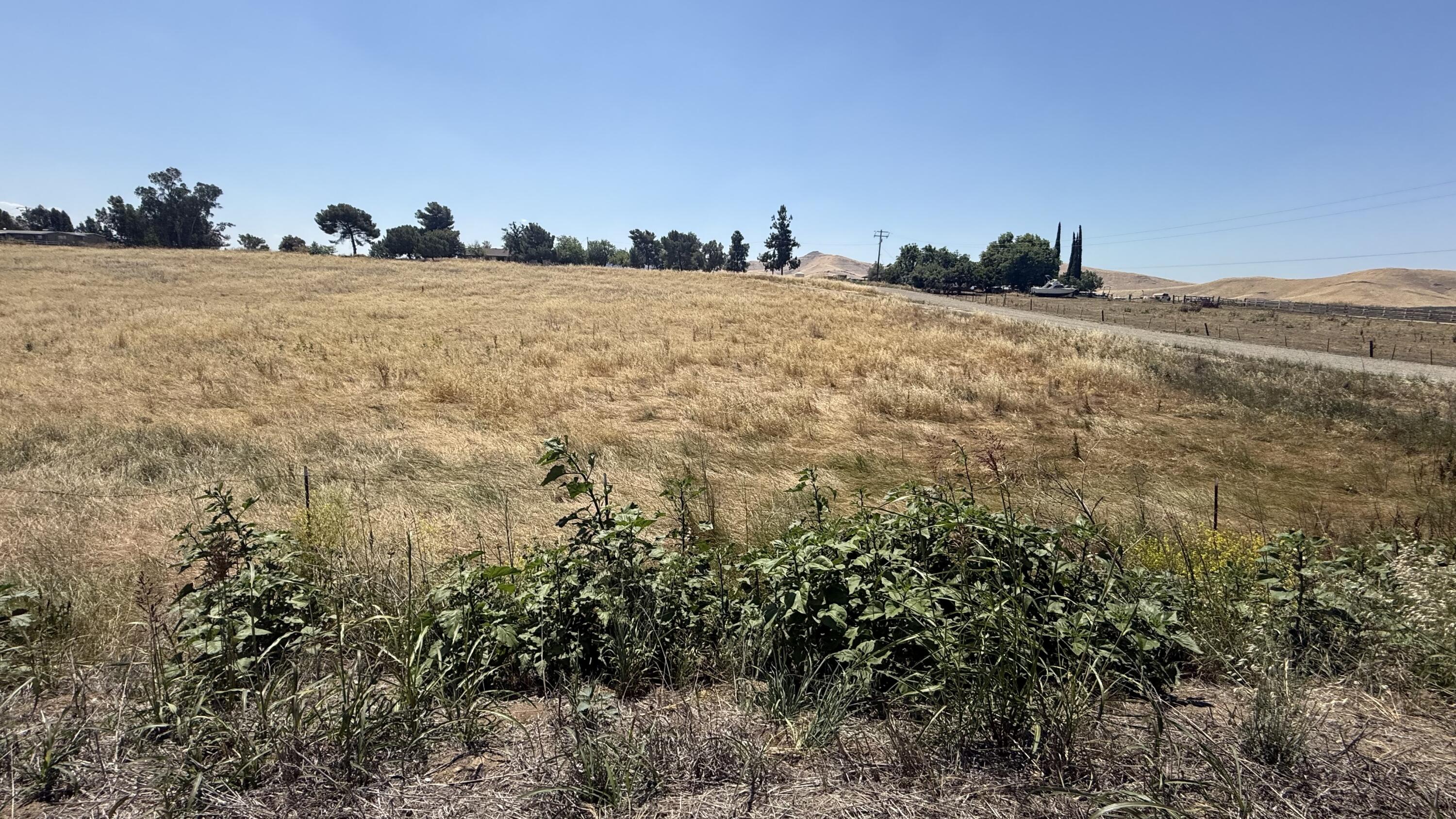 0 Ave 196, Strathmore, CA 93267