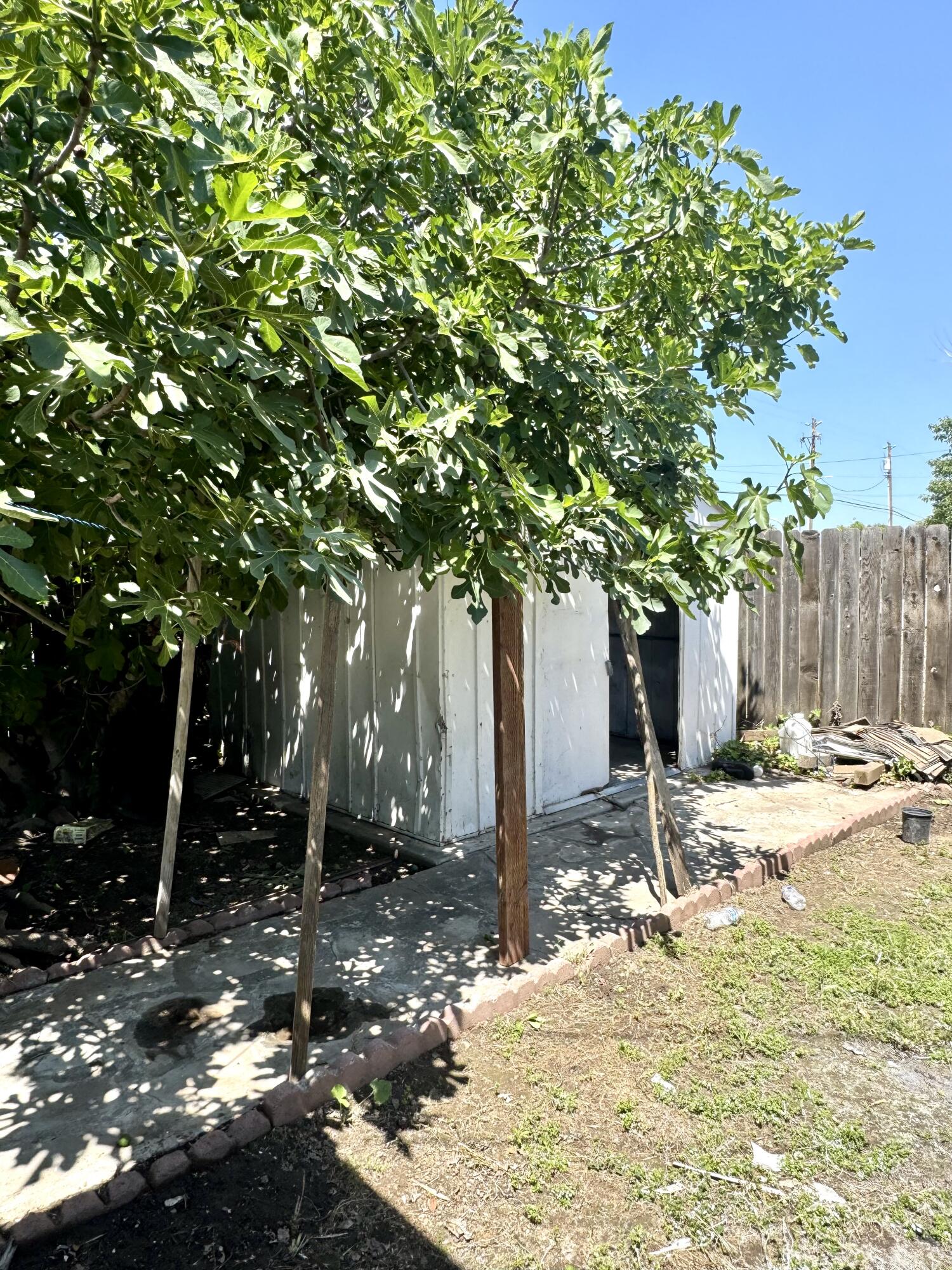 12414 Edward Ave, Orosi, CA 93647