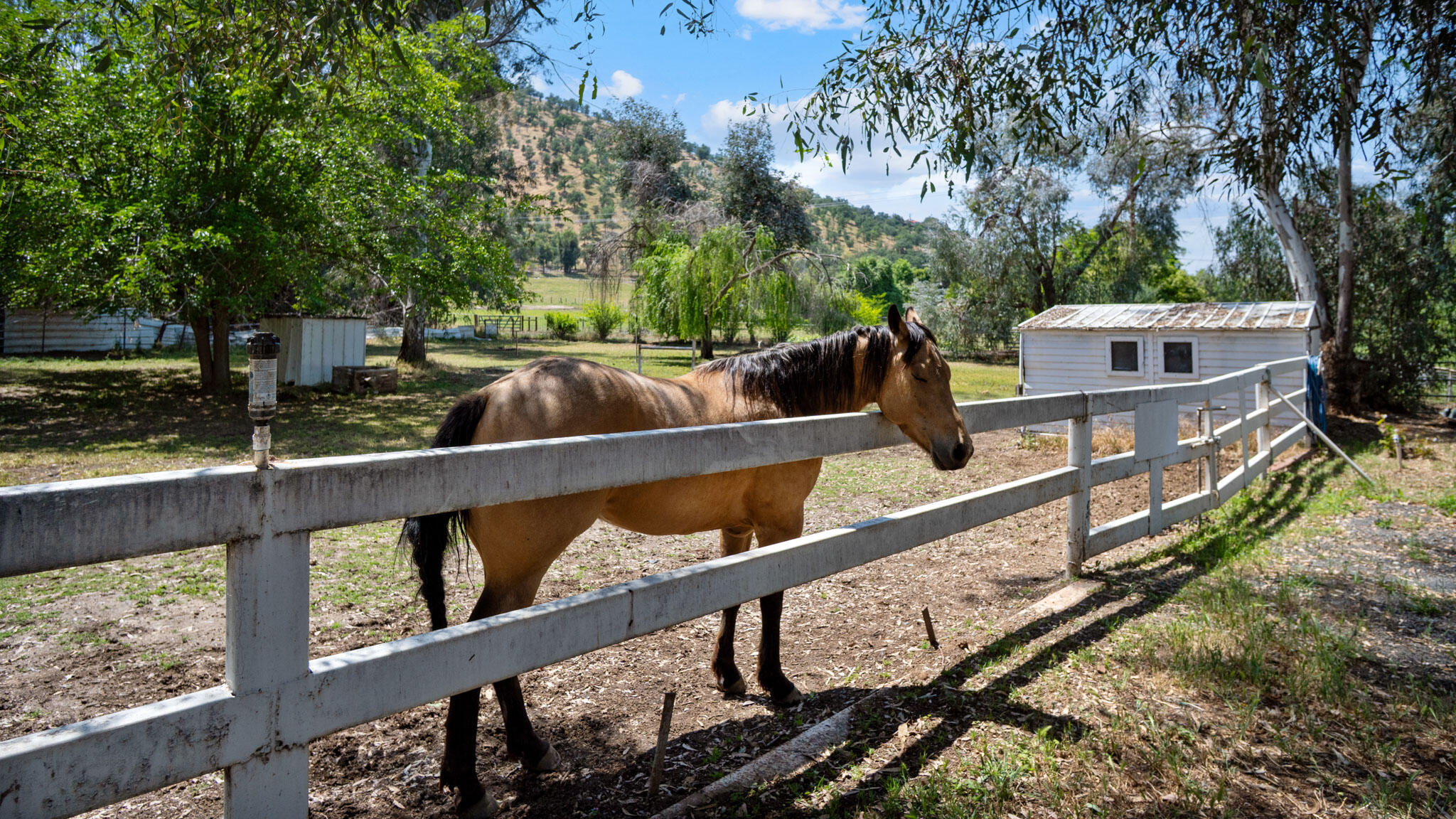 33341 Globe Dr, Springville, CA 93265