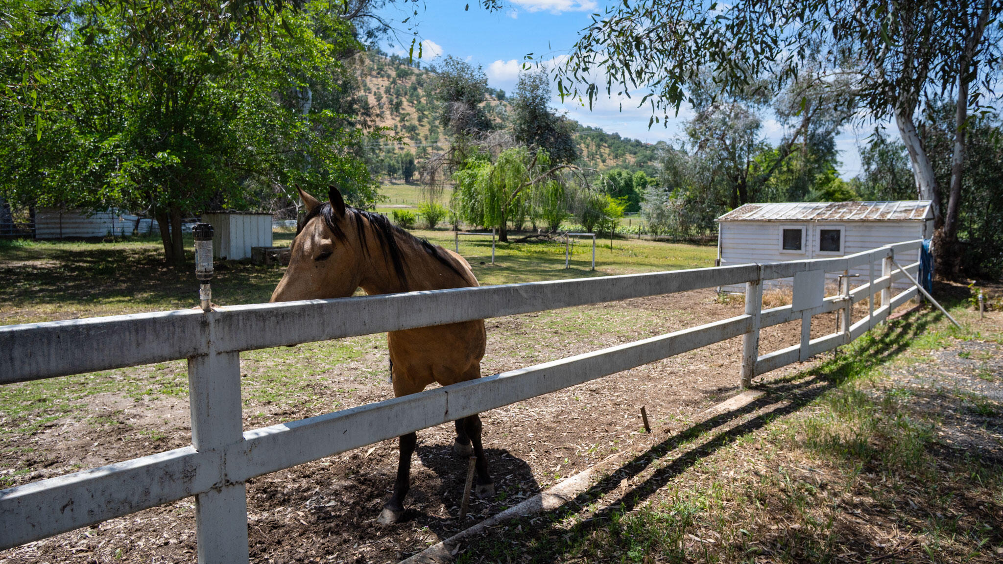 33341 Globe Dr, Springville, CA 93265