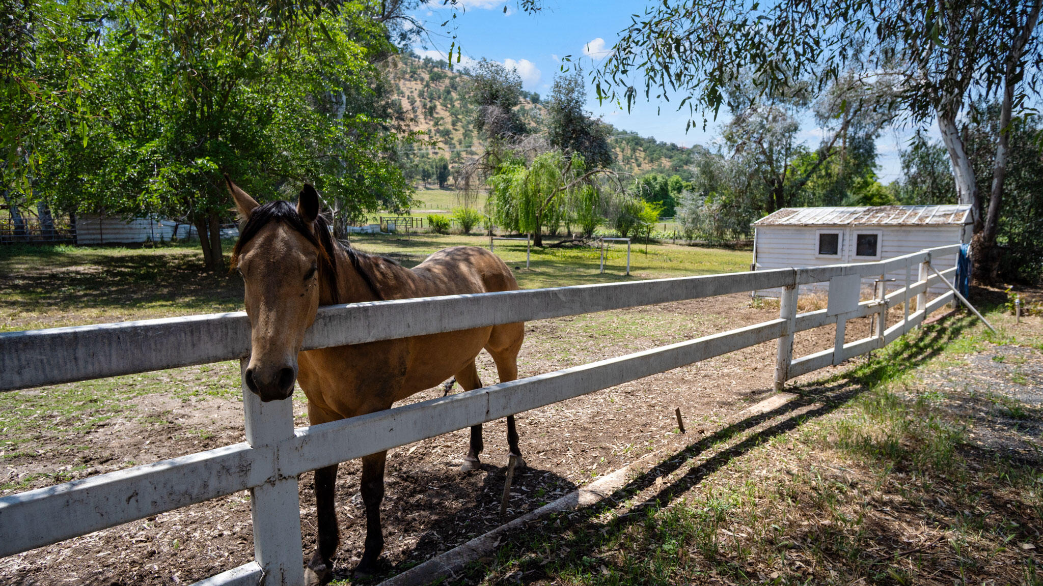 33341 Globe Dr, Springville, CA 93265