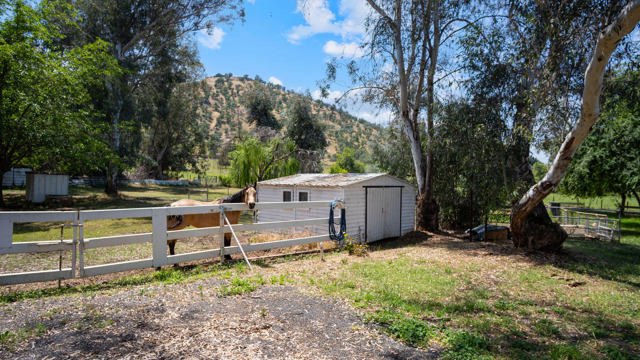 33341 Globe Dr, Springville, CA 93265