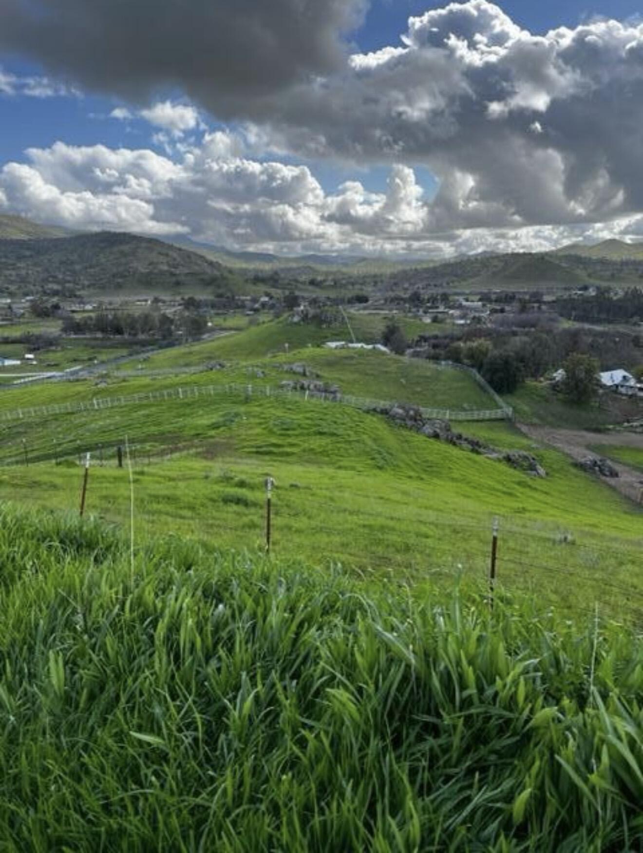 31029 Fritz Dr, Exeter, CA 93221