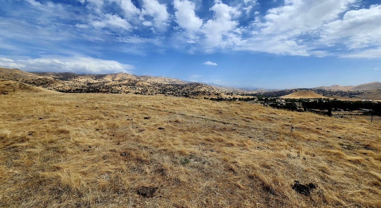 31029 Fritz Dr, Exeter, CA 93221