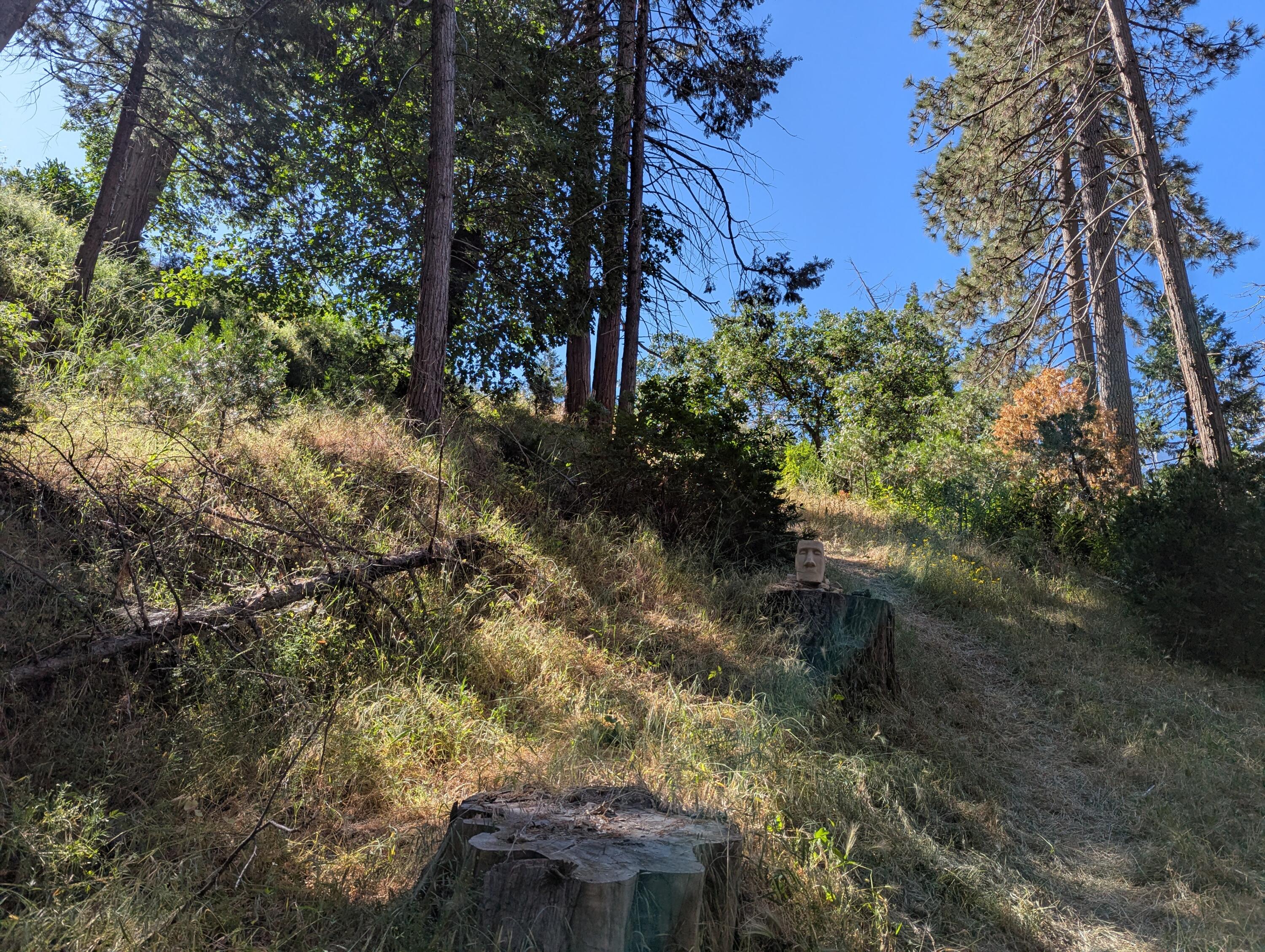 00 Mariposa Dr, Pierpoint Springs, CA 93265