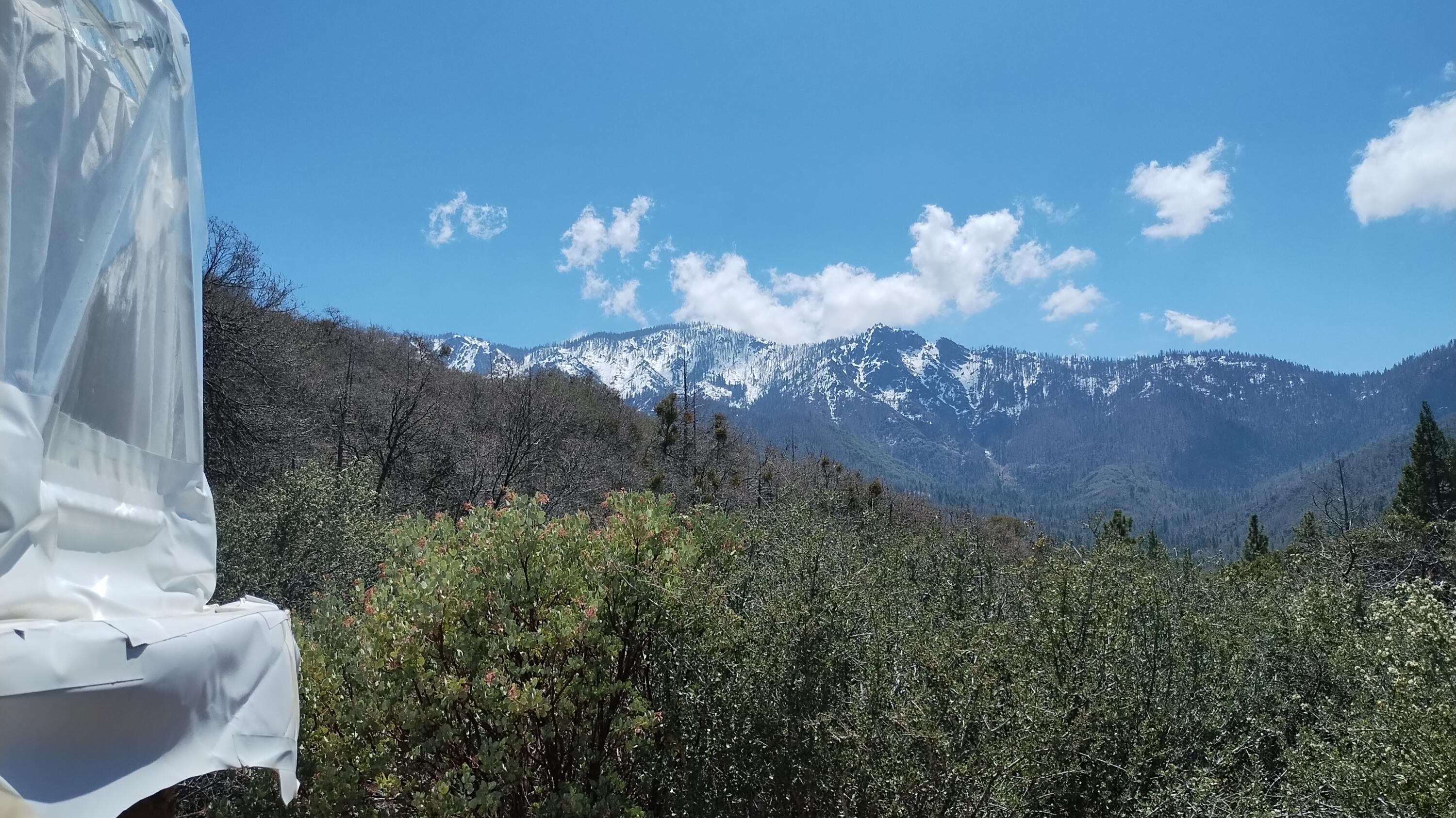 00 Mariposa Dr, Pierpoint Springs, CA 93265