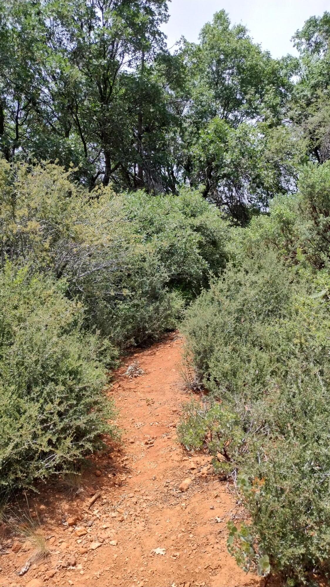 00 Mariposa Dr, Pierpoint Springs, CA 93265