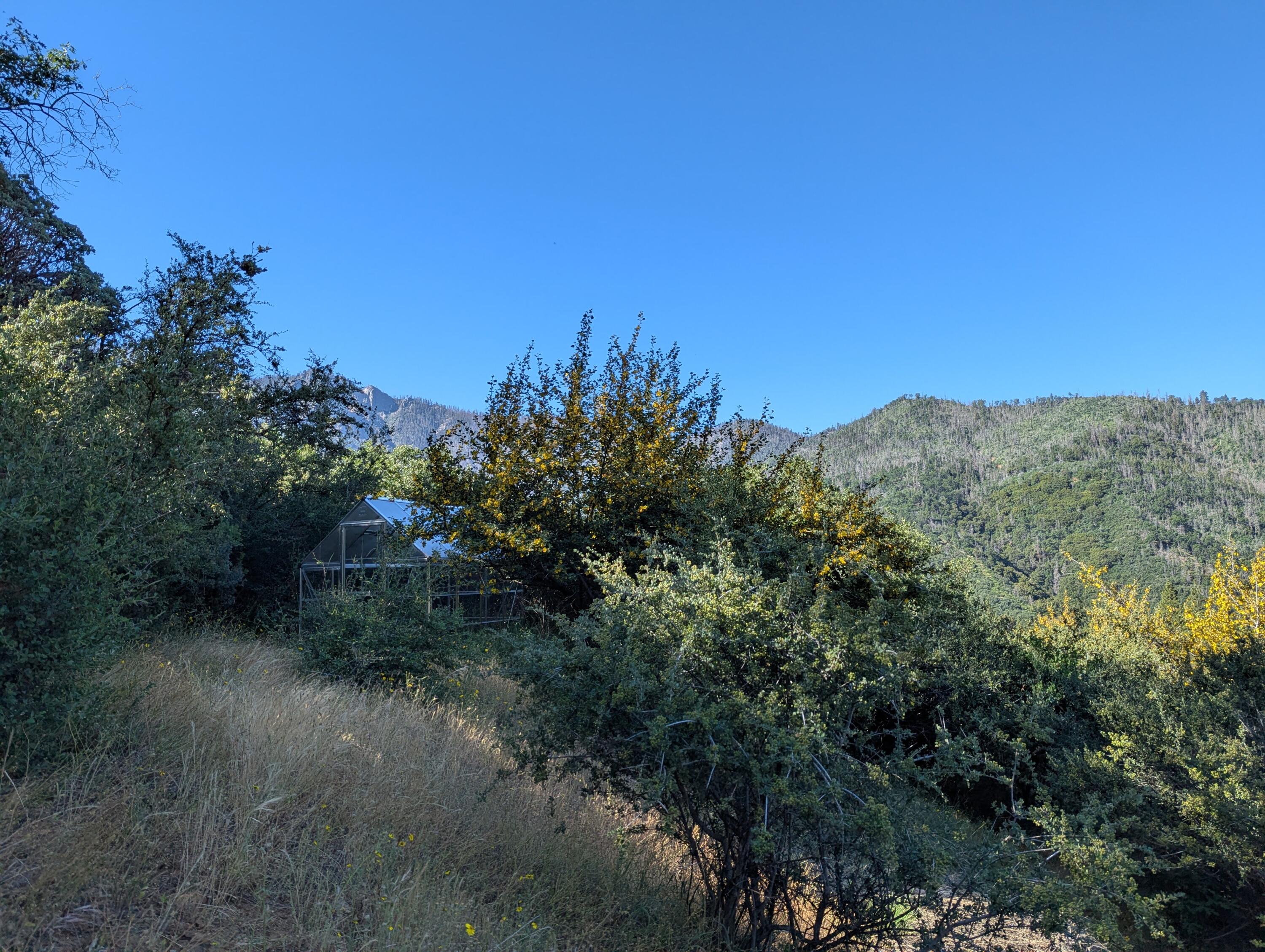 00 Mariposa Dr, Pierpoint Springs, CA 93265