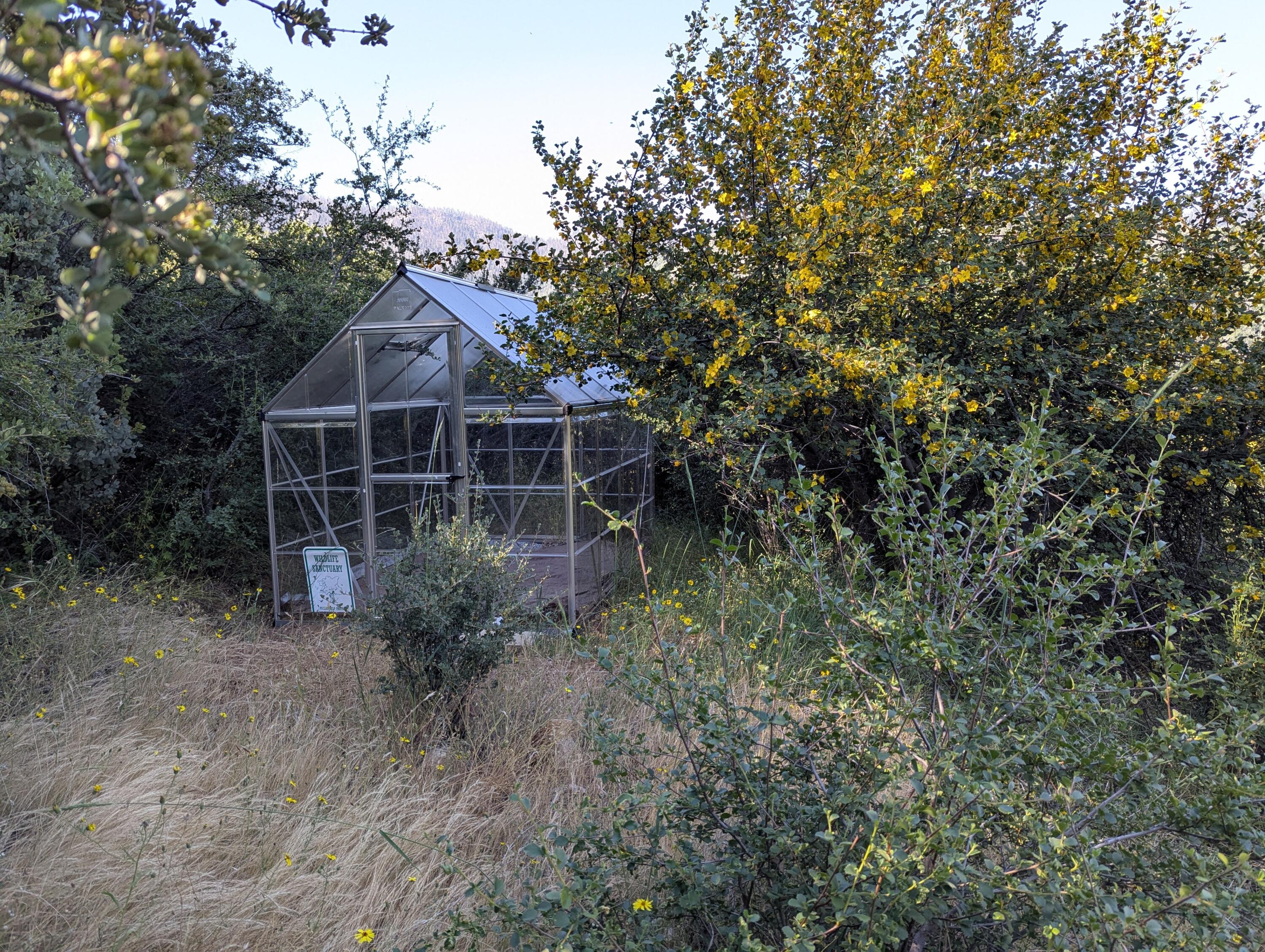 00 Mariposa Dr, Pierpoint Springs, CA 93265