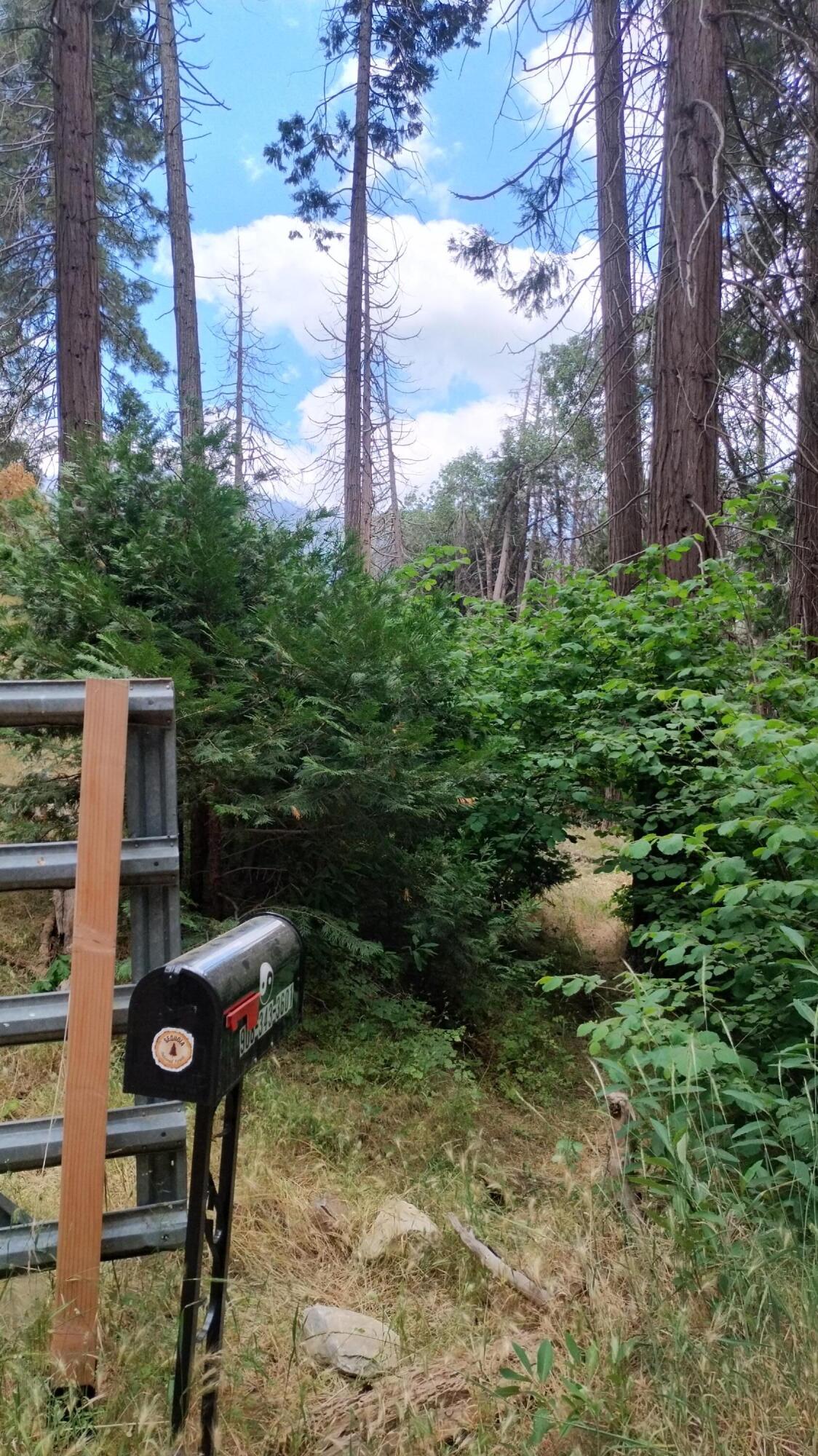 00 Mariposa Dr, Pierpoint Springs, CA 93265