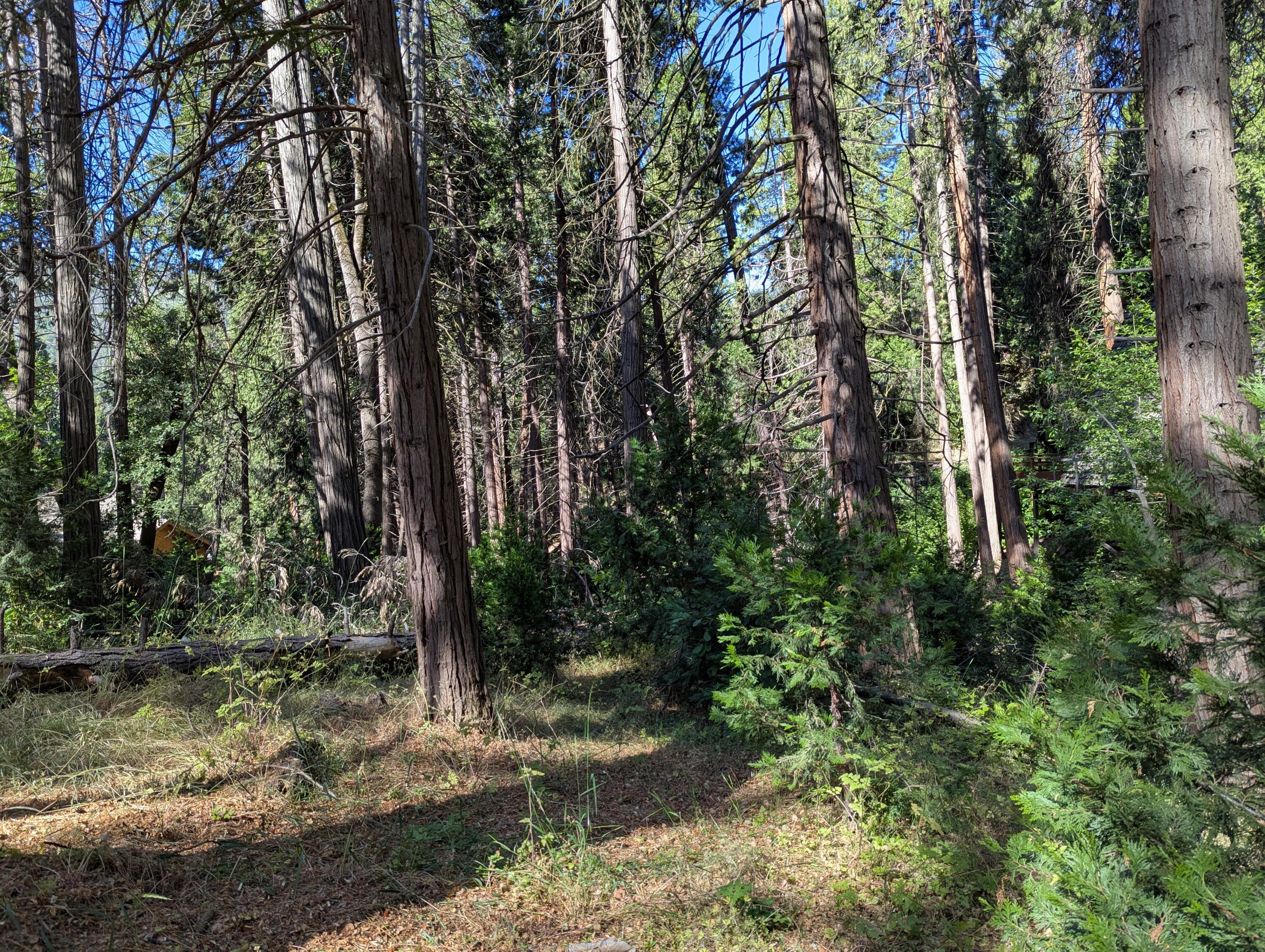 00 Mariposa Dr, Pierpoint Springs, CA 93265