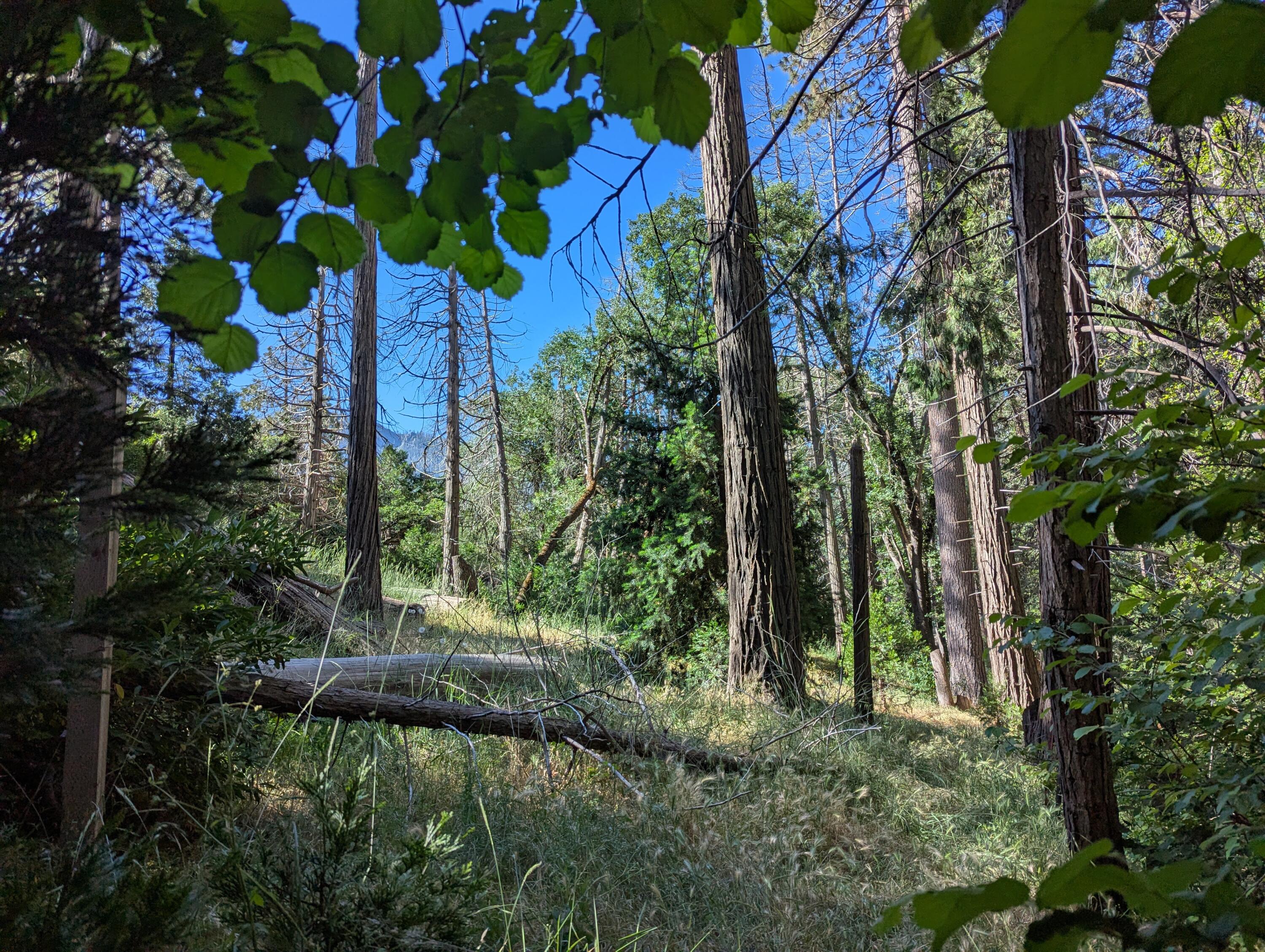 00 Mariposa Dr, Pierpoint Springs, CA 93265