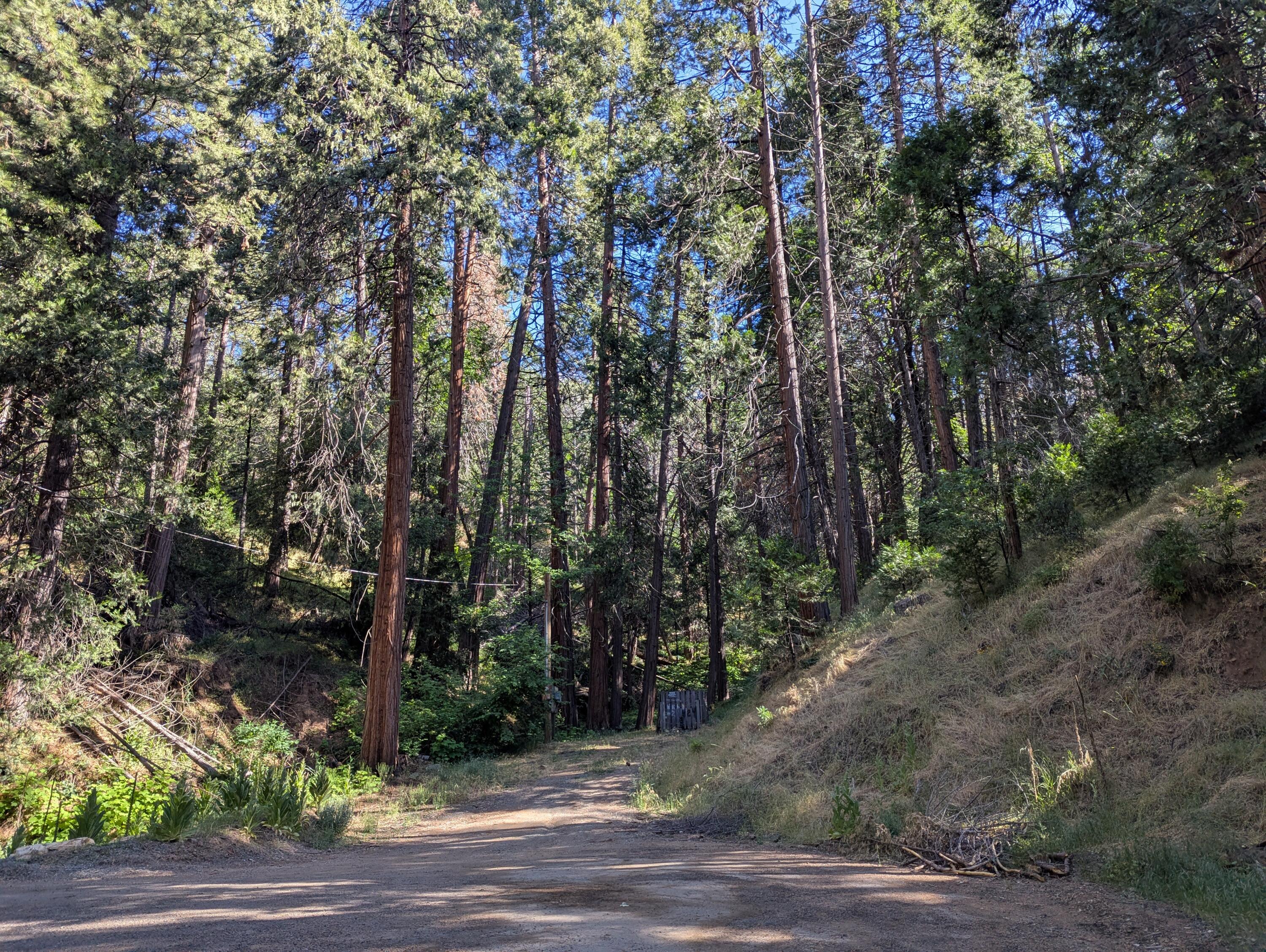 00 Mariposa Dr, Pierpoint Springs, CA 93265