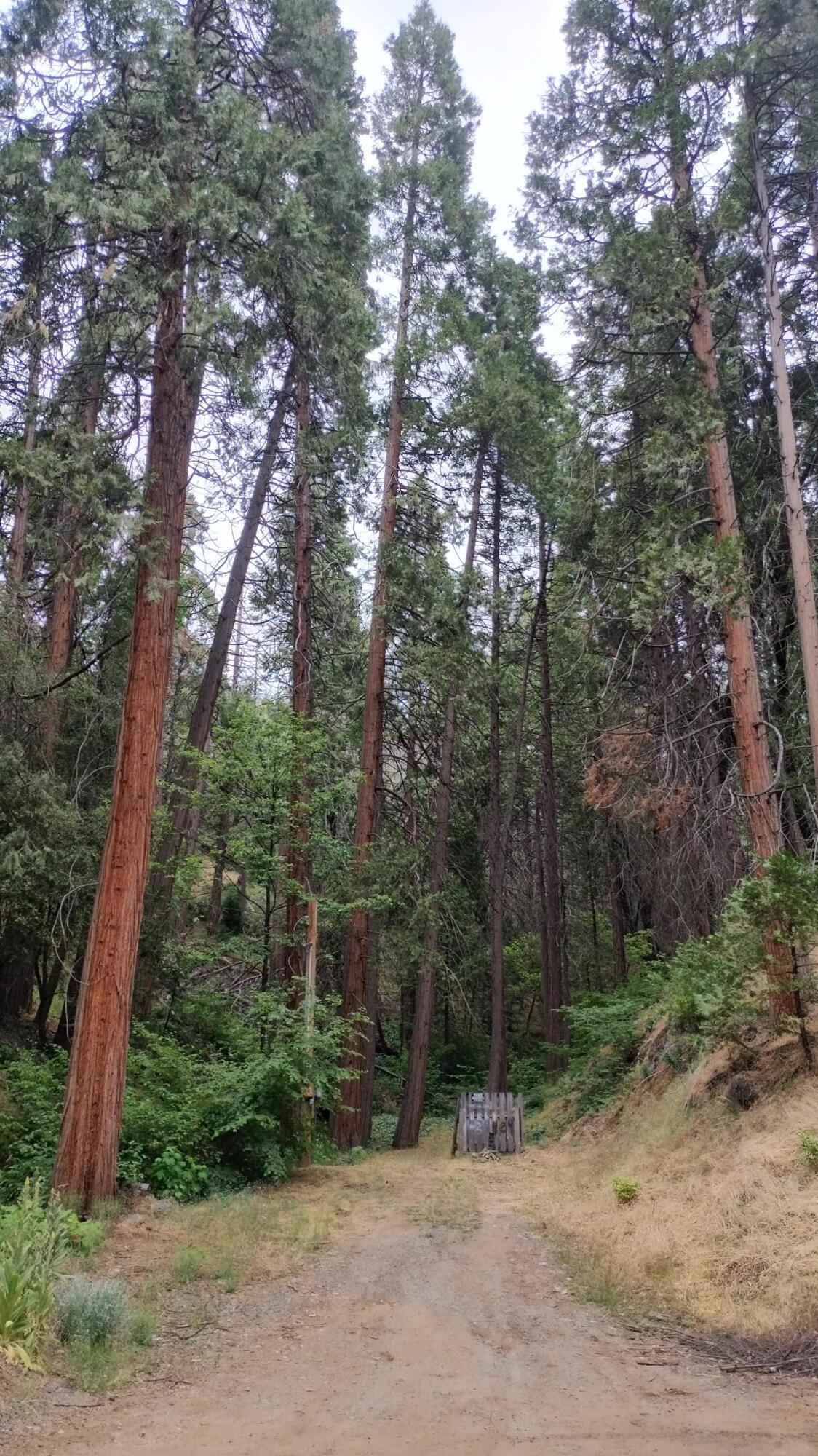 00 Mariposa Dr, Pierpoint Springs, CA 93265