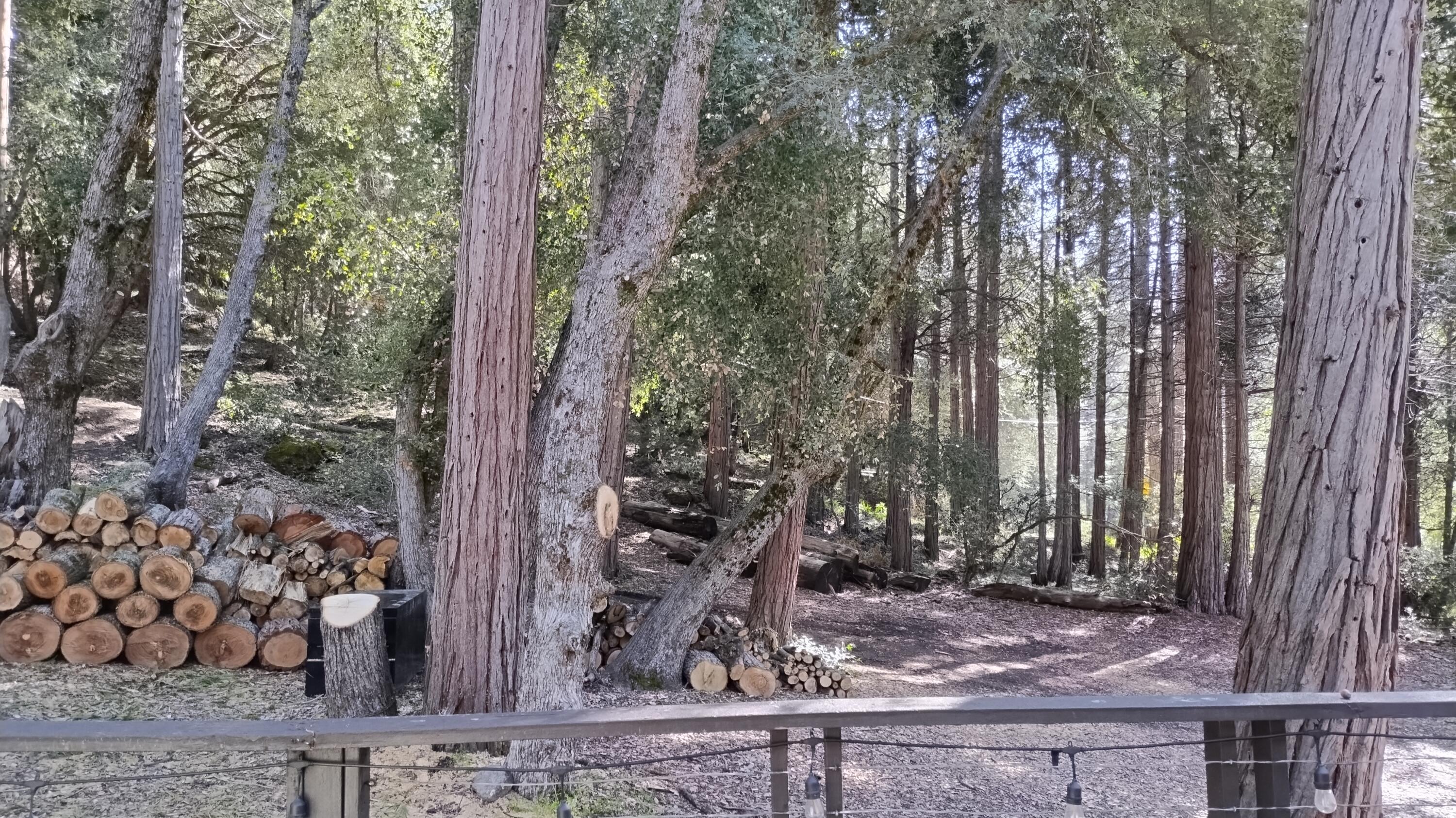 1693 Coy Flat Dr, Springville, CA 93265