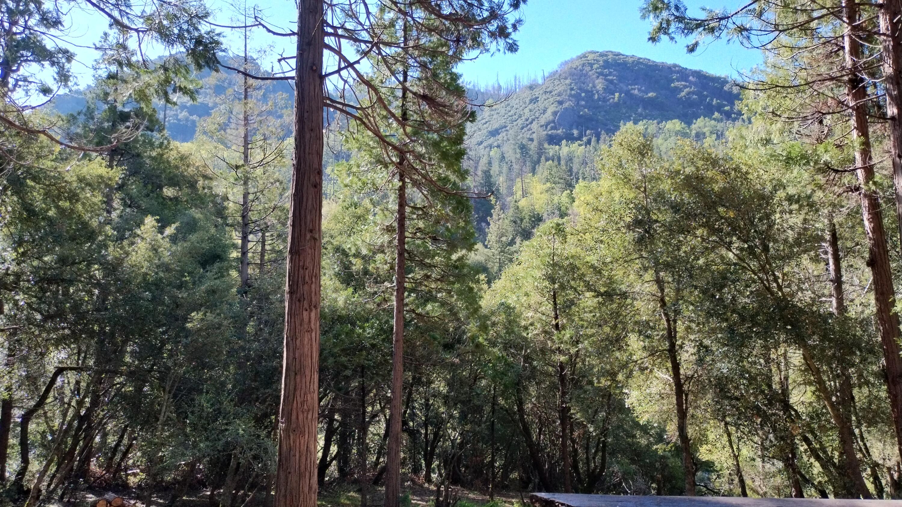 1693 Coy Flat Dr, Springville, CA 93265