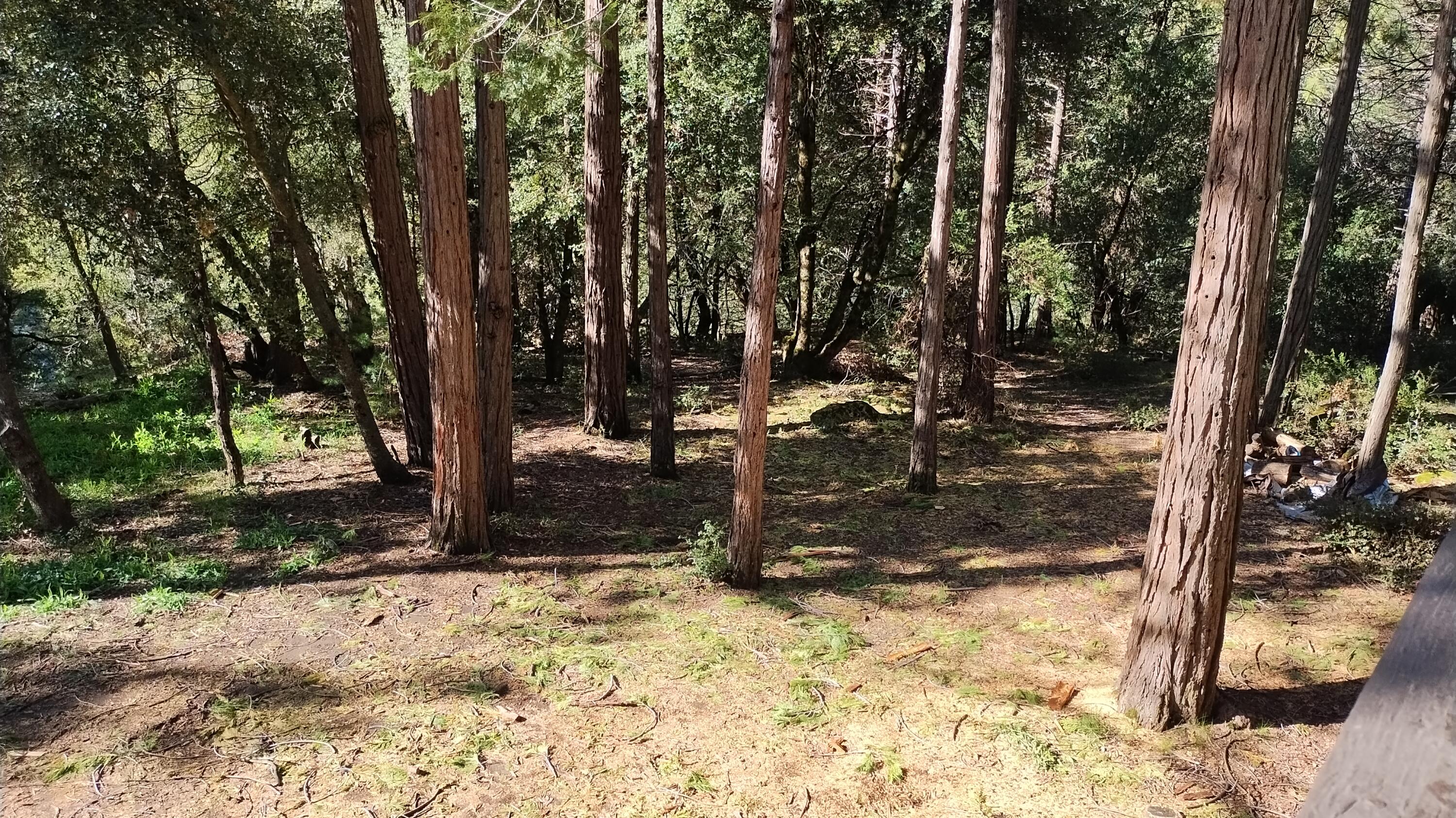 1693 Coy Flat Dr, Springville, CA 93265