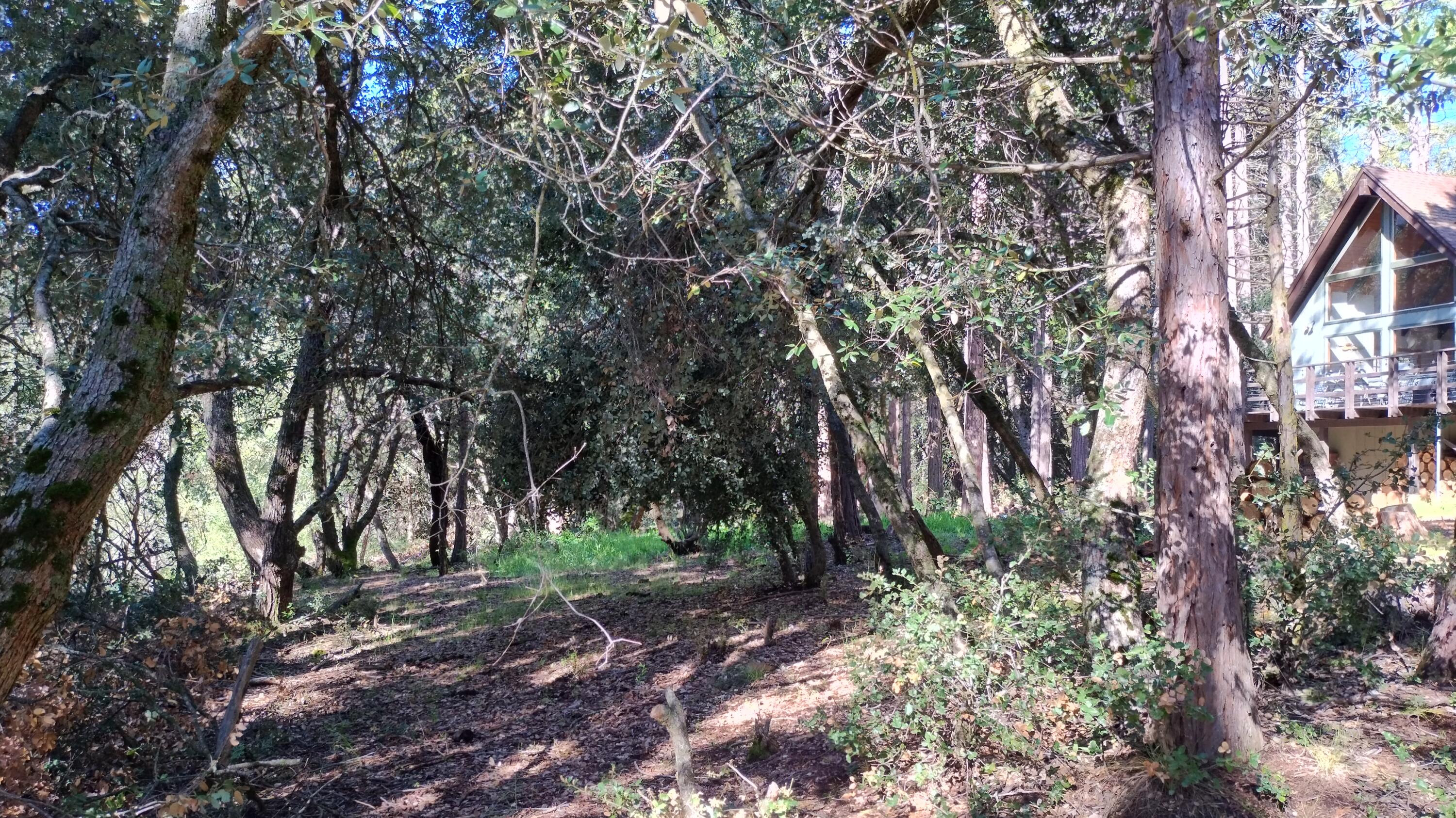 1693 Coy Flat Dr, Springville, CA 93265