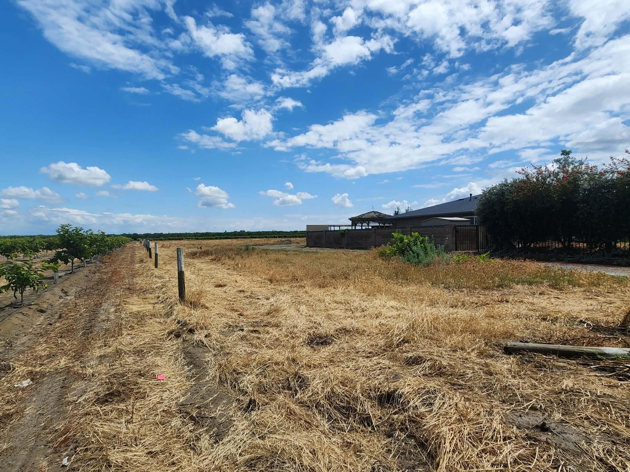 12778 S Mccall Ave, Selma, CA 93662