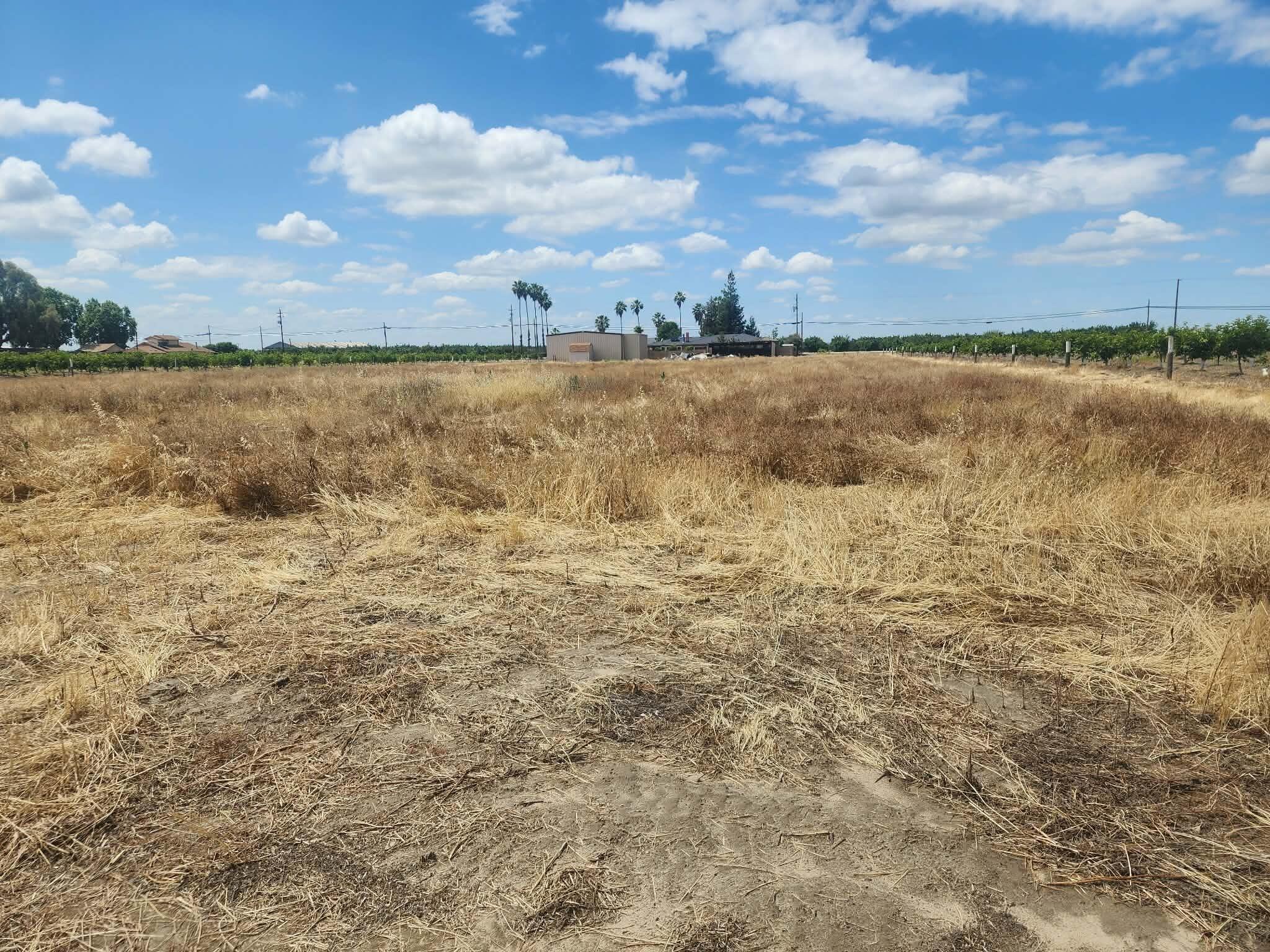 12778 S Mccall Ave, Selma, CA 93662