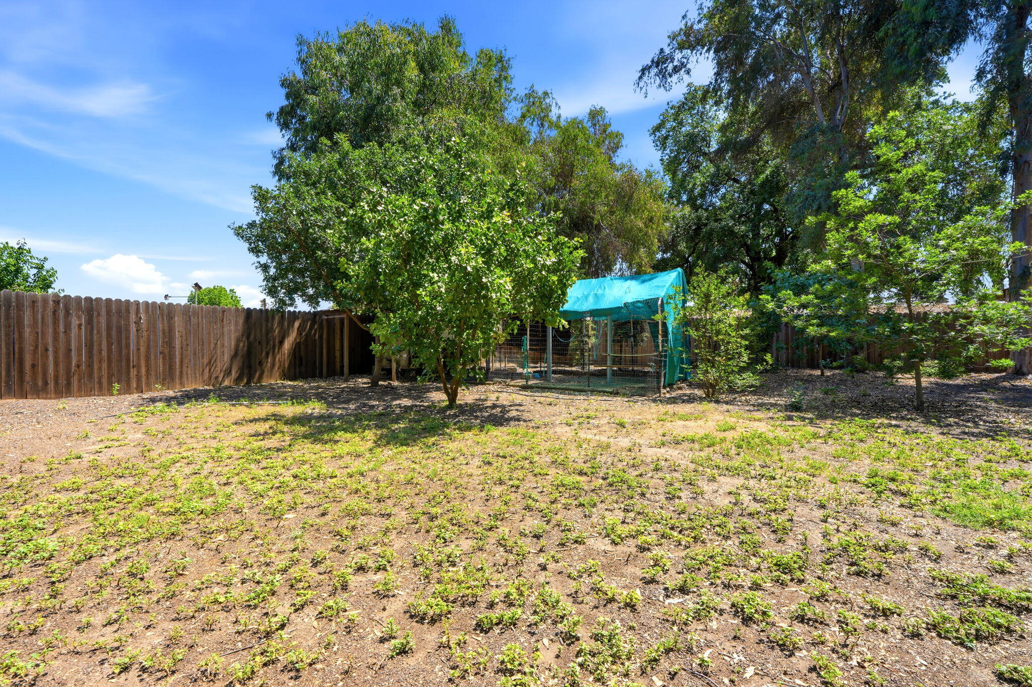 12470 Hacienda Ave, Visalia, CA 93291