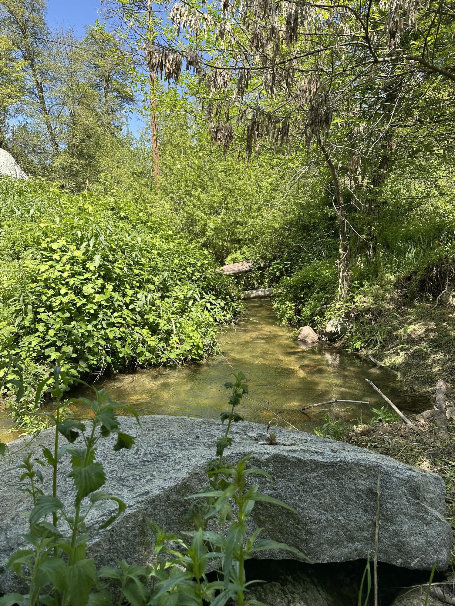 44127 Pine Flat Dr, California Hot Springs, CA 93207