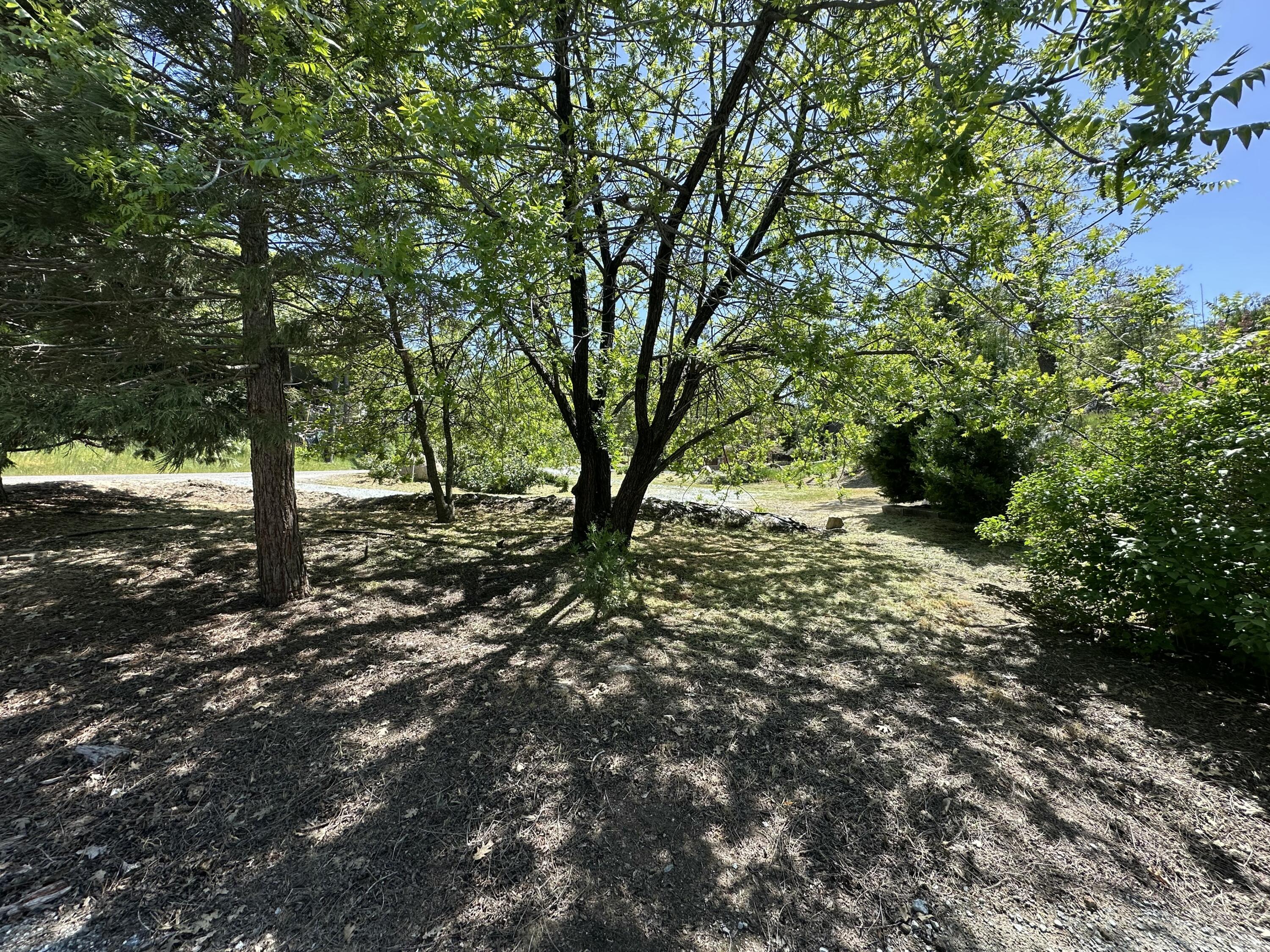 44127 Pine Flat Dr, California Hot Springs, CA 93207